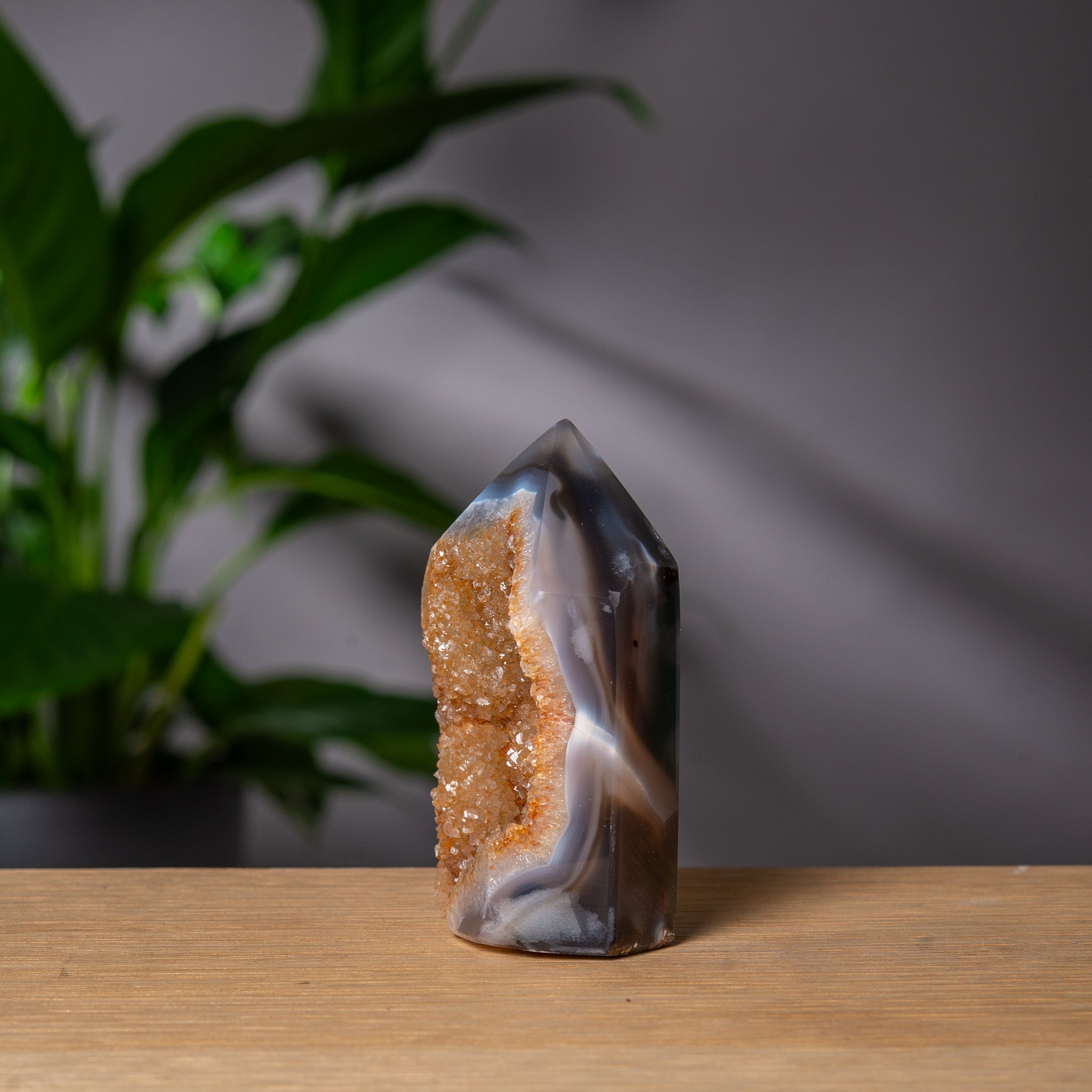 Gyllene Druzy Agat Torn