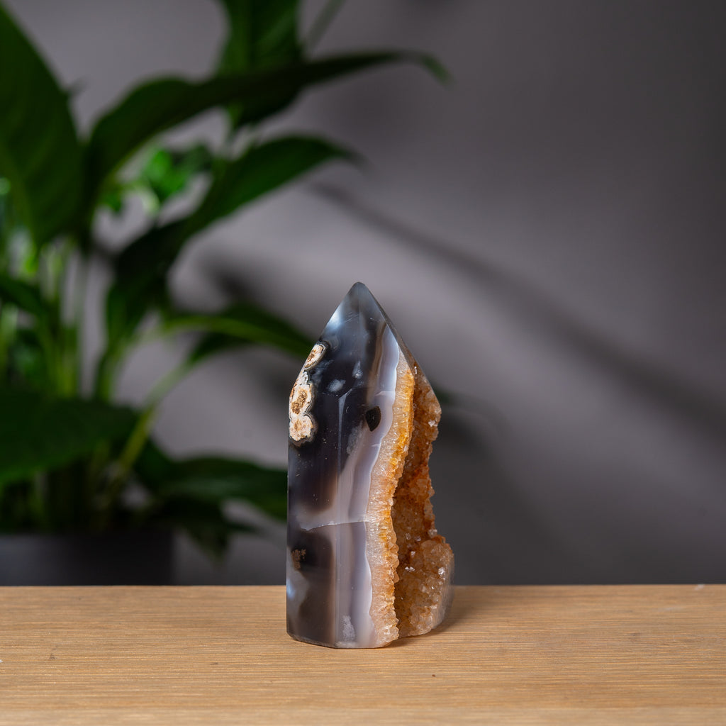 Gyllene Druzy Agat Torn