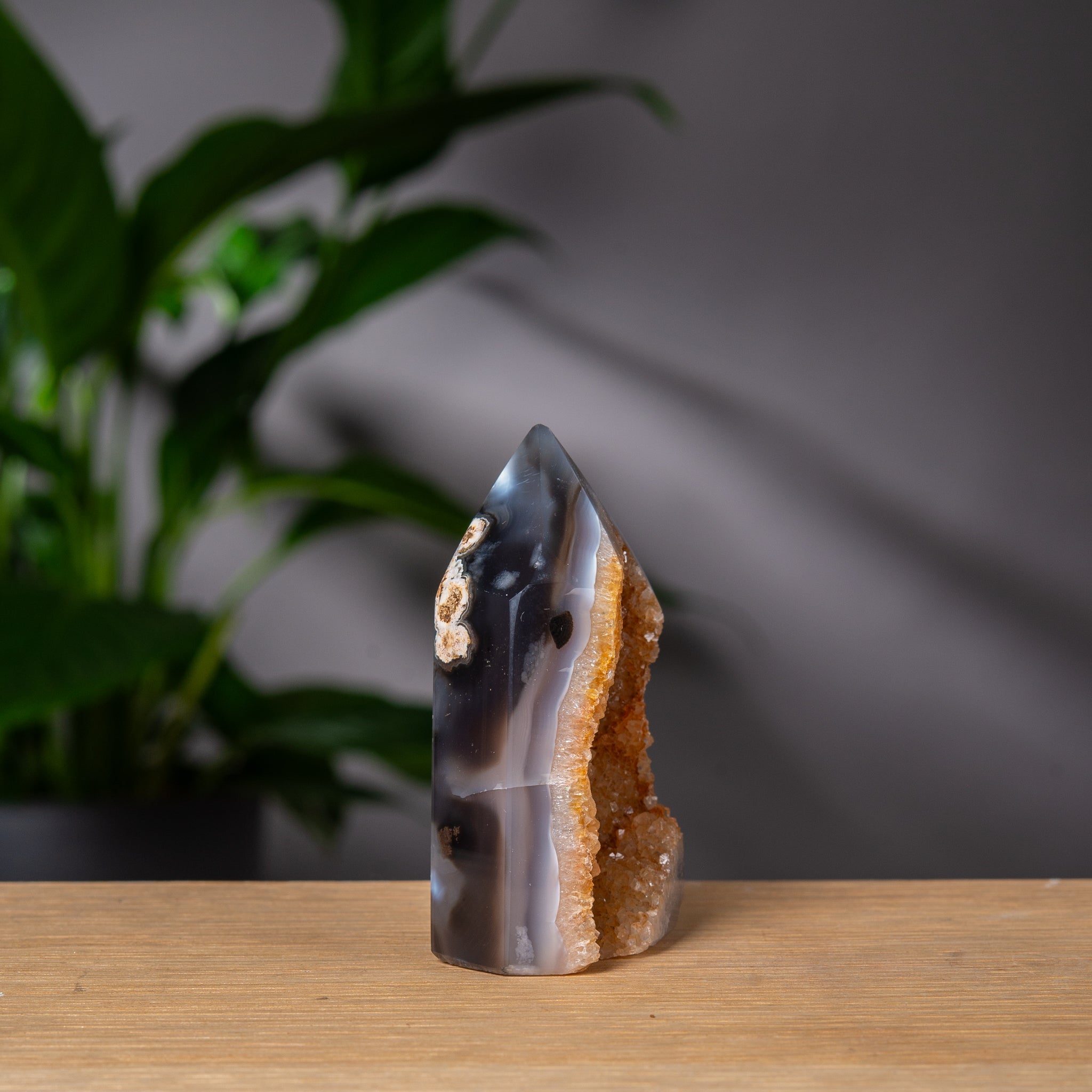 Gyllene Druzy Agat Torn