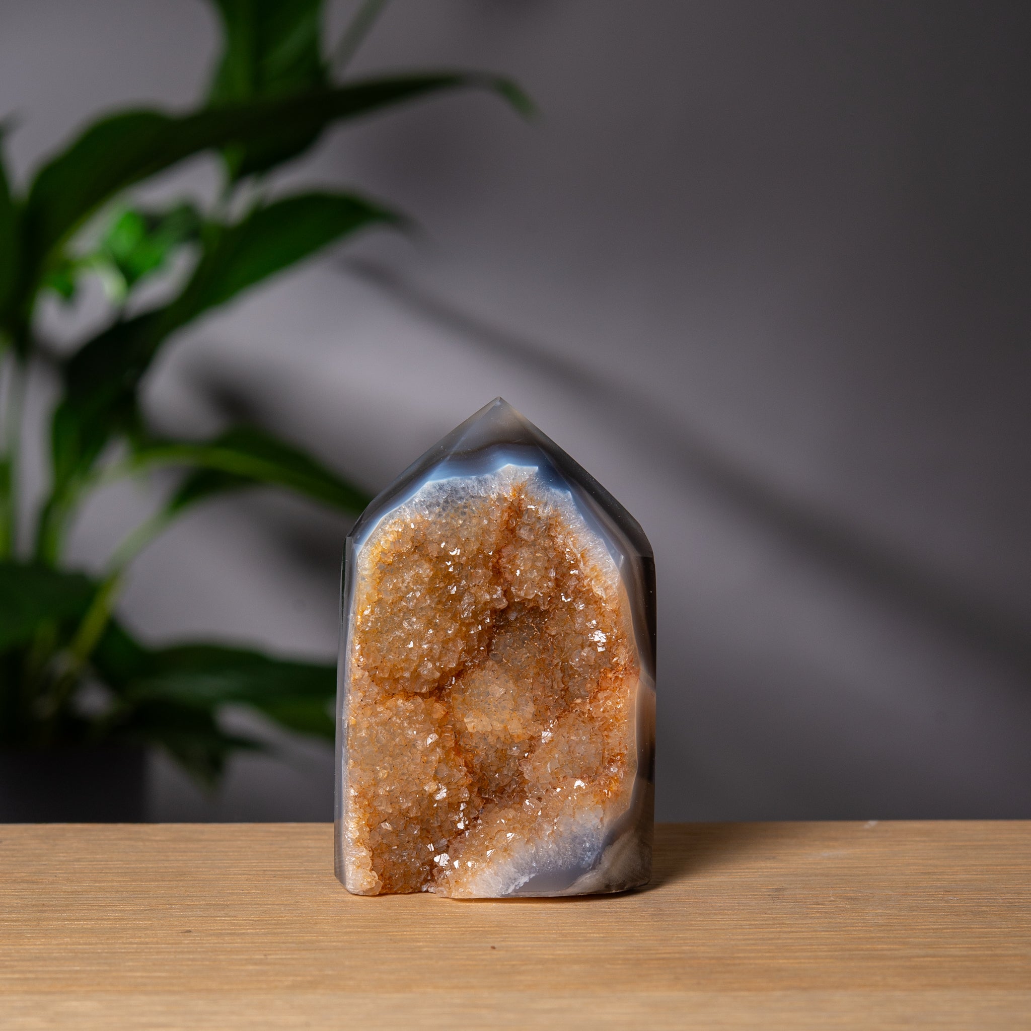 Gyllene Druzy Agat Torn