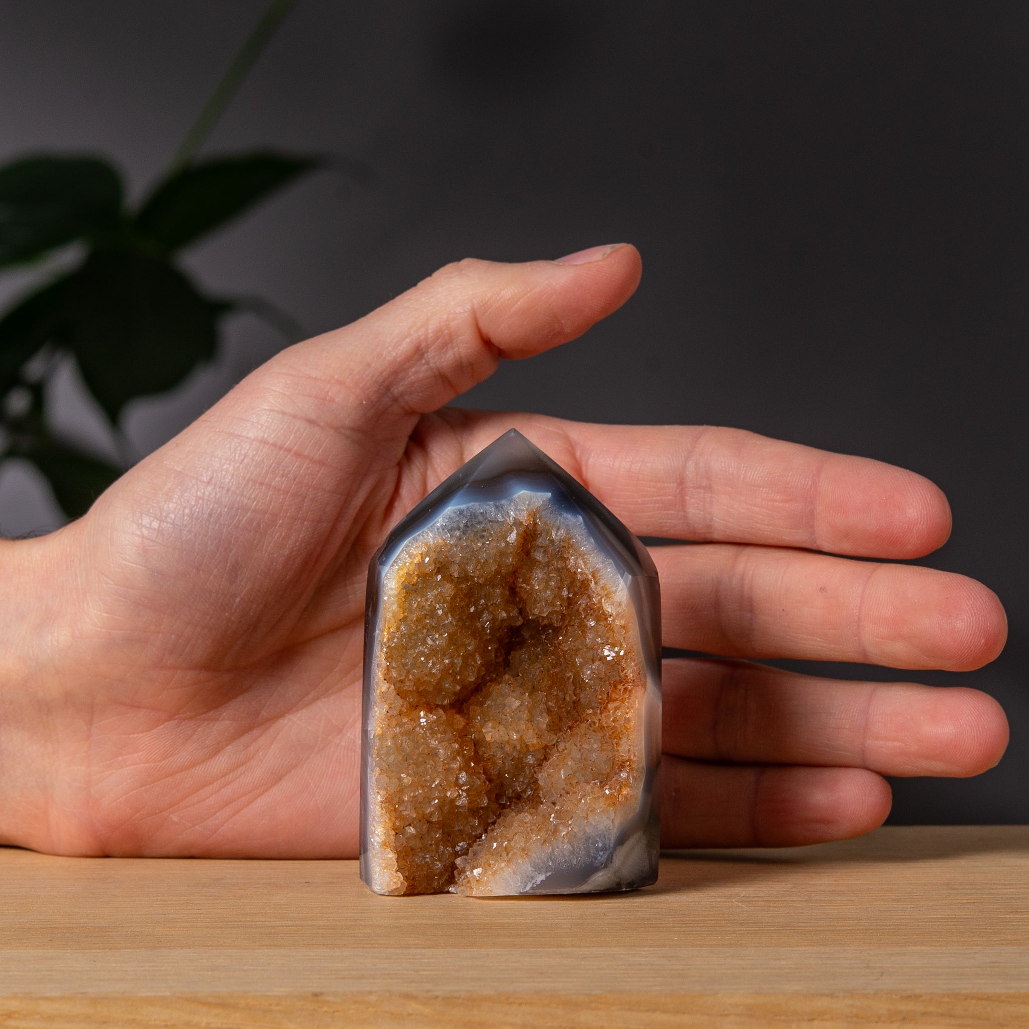 Gyllene Druzy Agat Torn