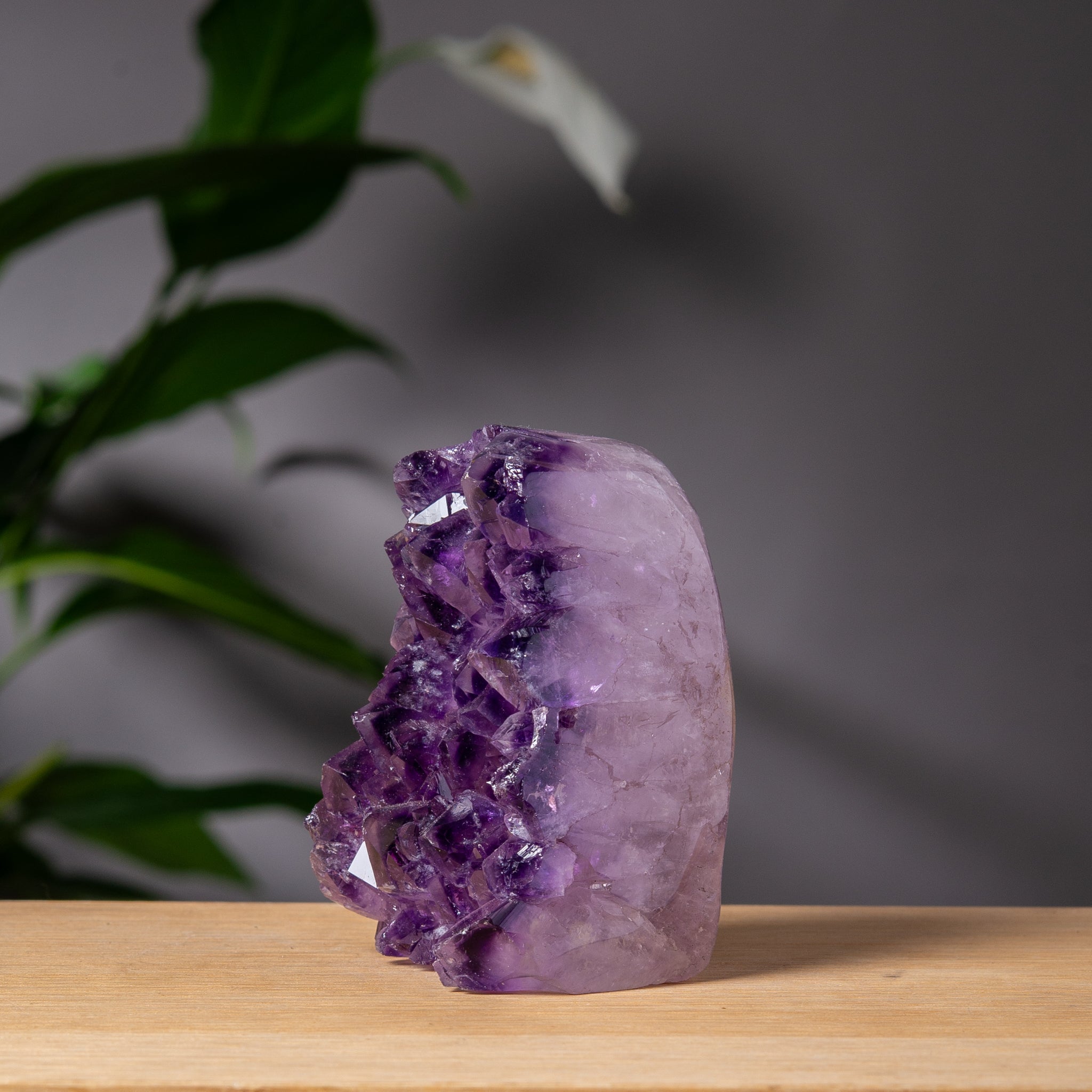Colorful Amethyst Cut base