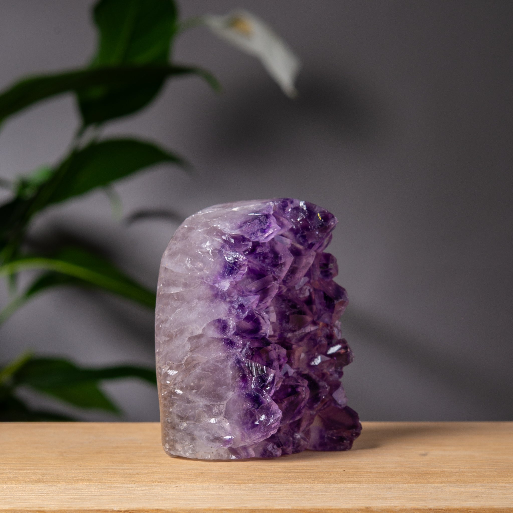 Colorful Amethyst Cut base