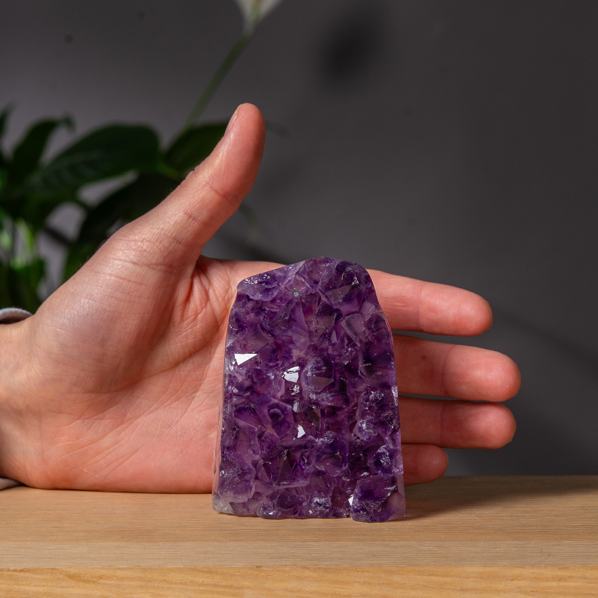 Colorful Amethyst Cut base