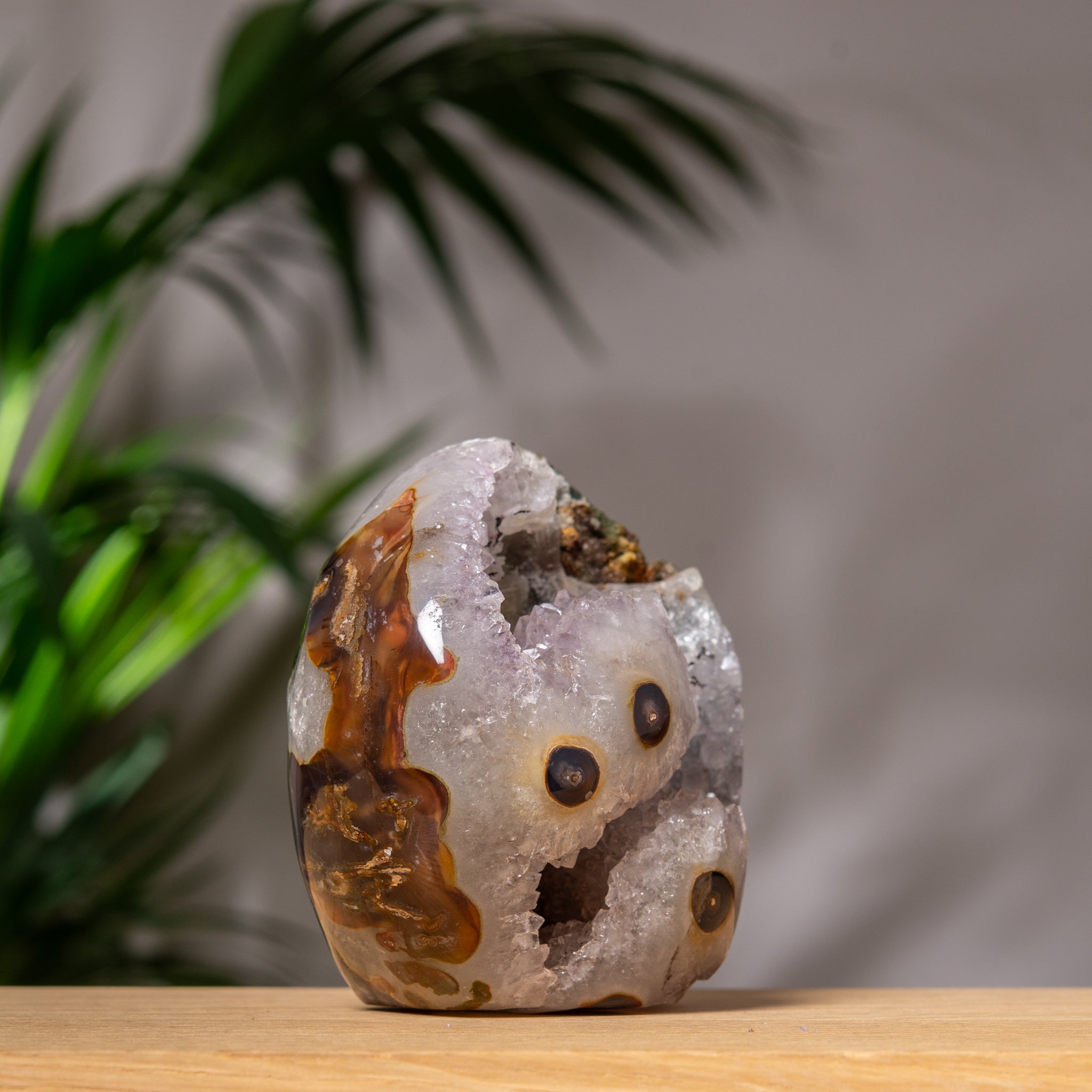 Cutbase Amethyst Geode with brown eyes
