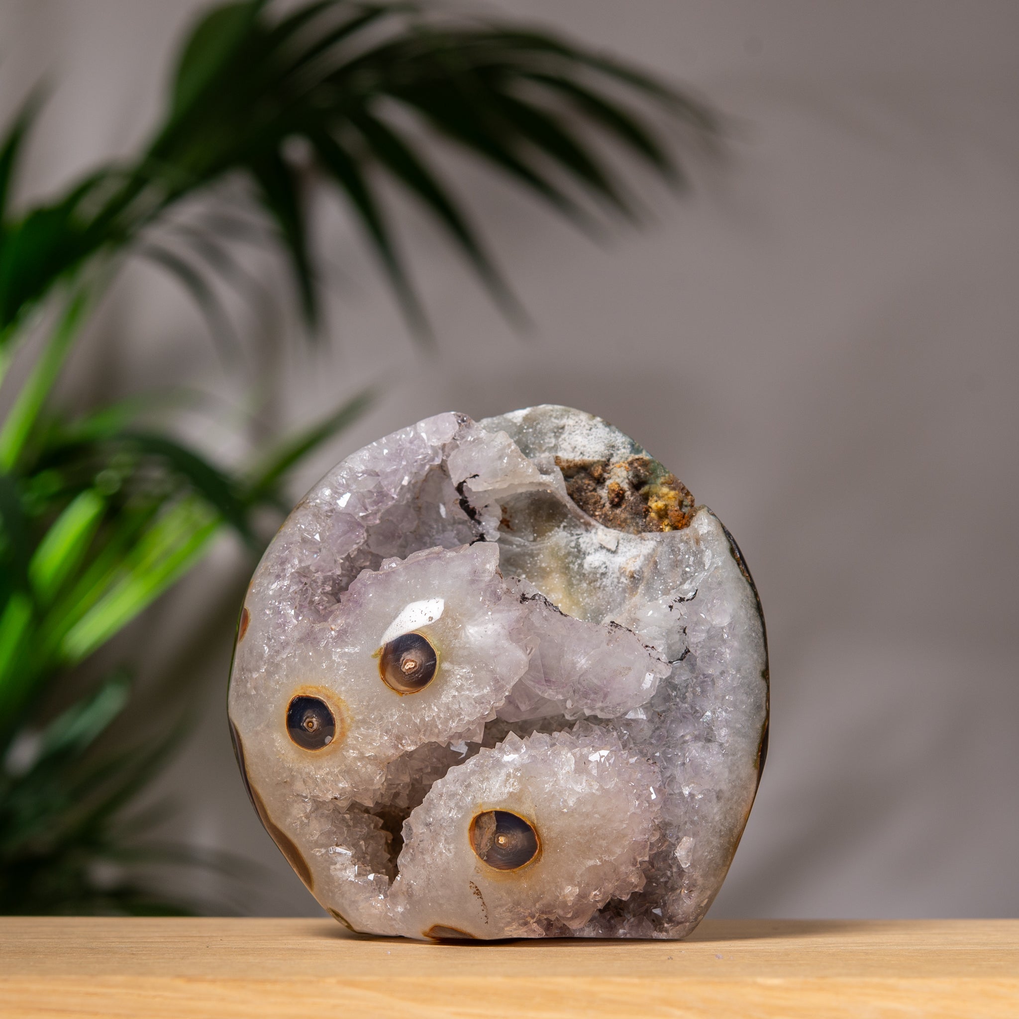 Cutbase Amethyst Geode with brown eyes