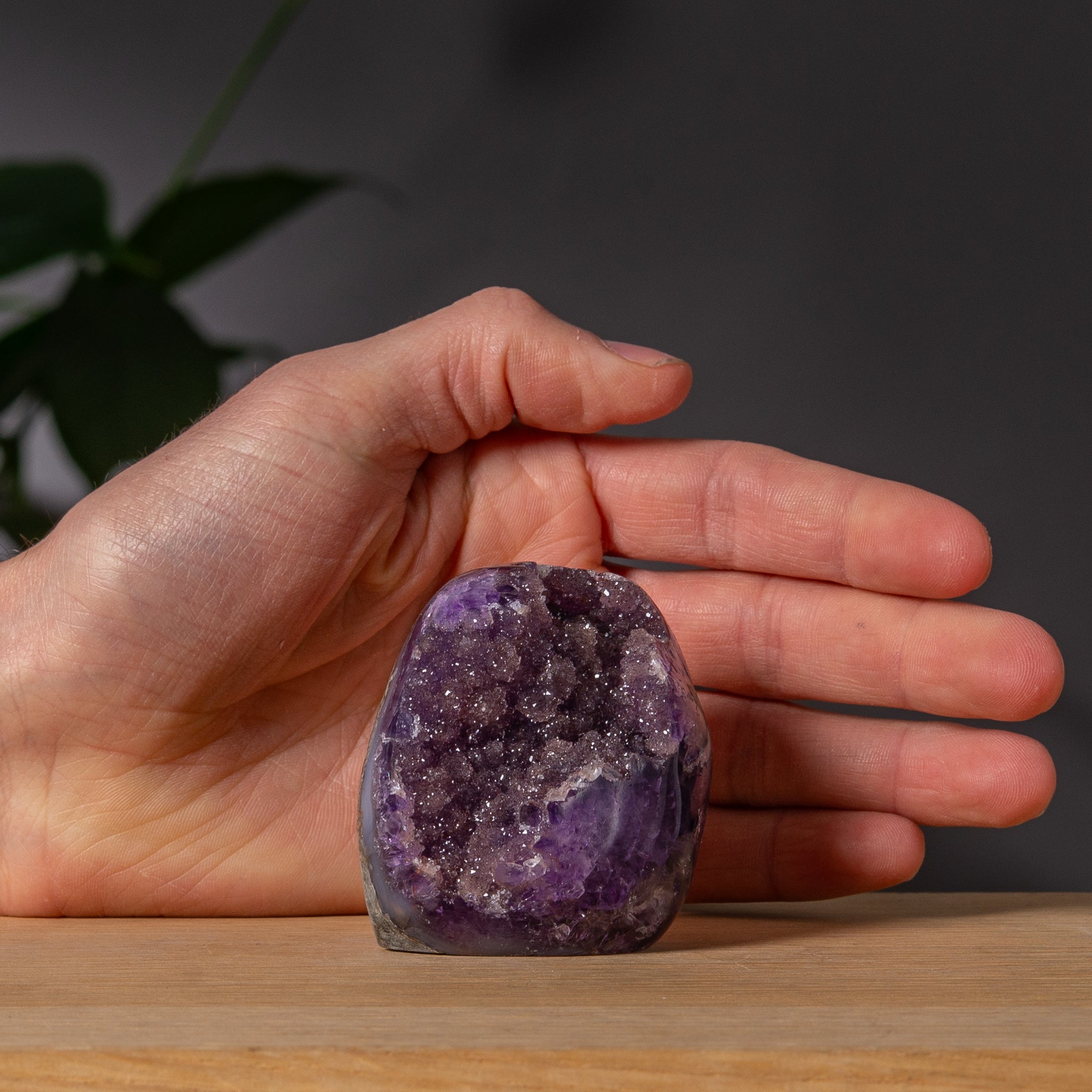 Grape Amethyst with Sugary Druzy