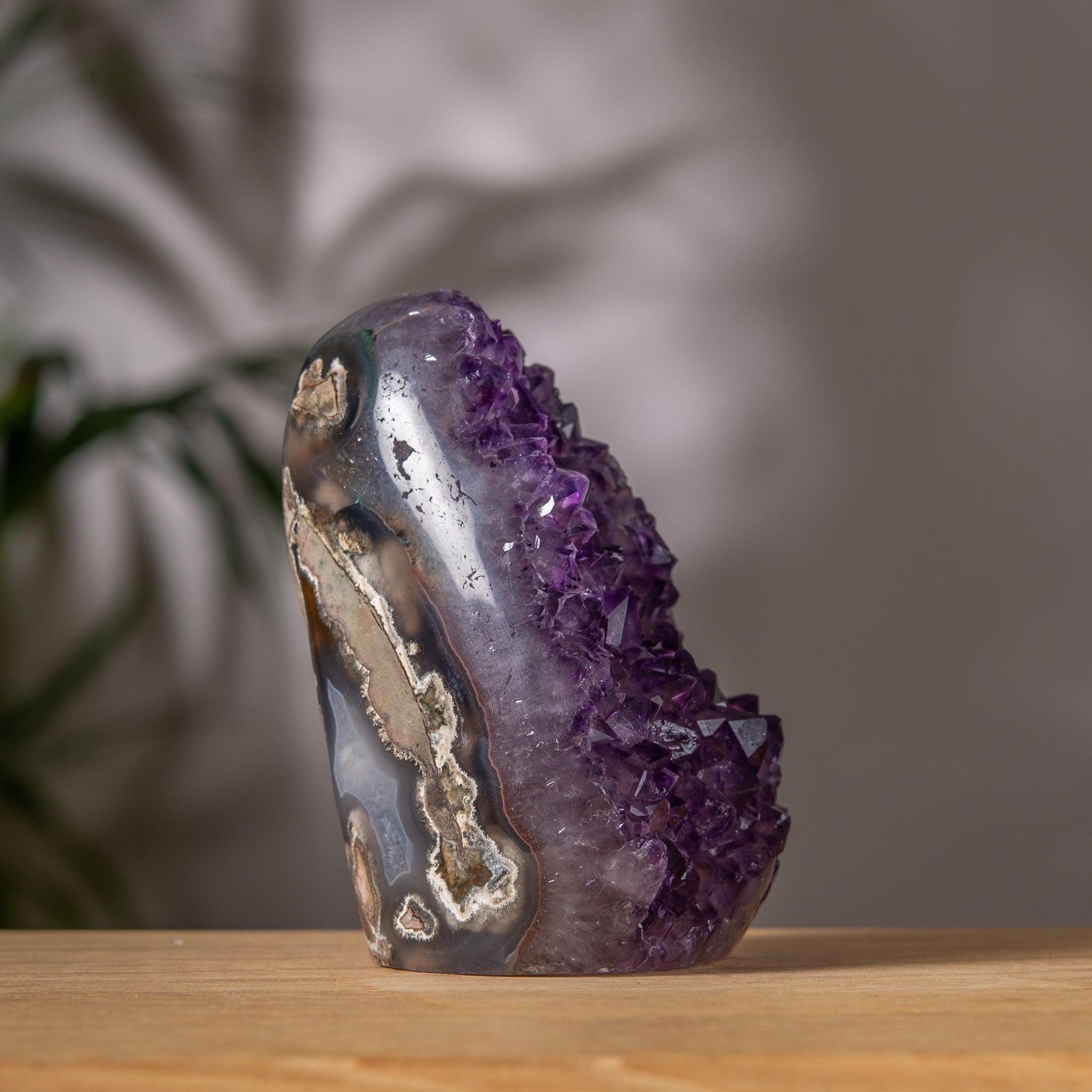 Amethyst Cluster – Deep Purple Crystal & Natural Jasper Back – Uruguay