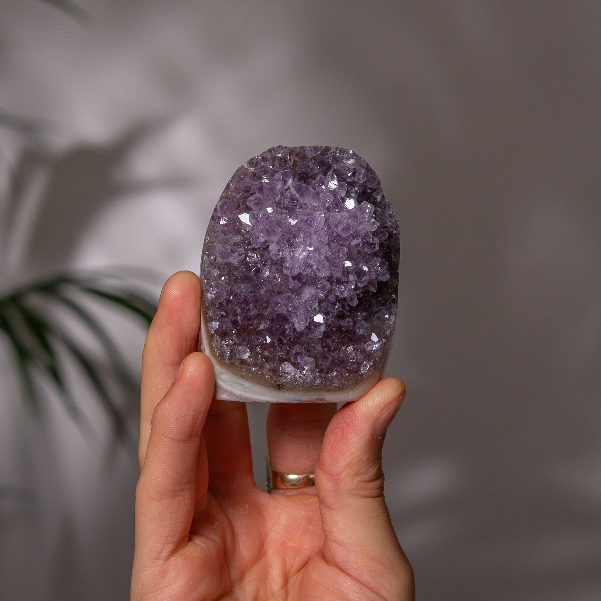 Amethyst Cluster – Lavender Druzy & Multicolor Agate Back – Uruguay
