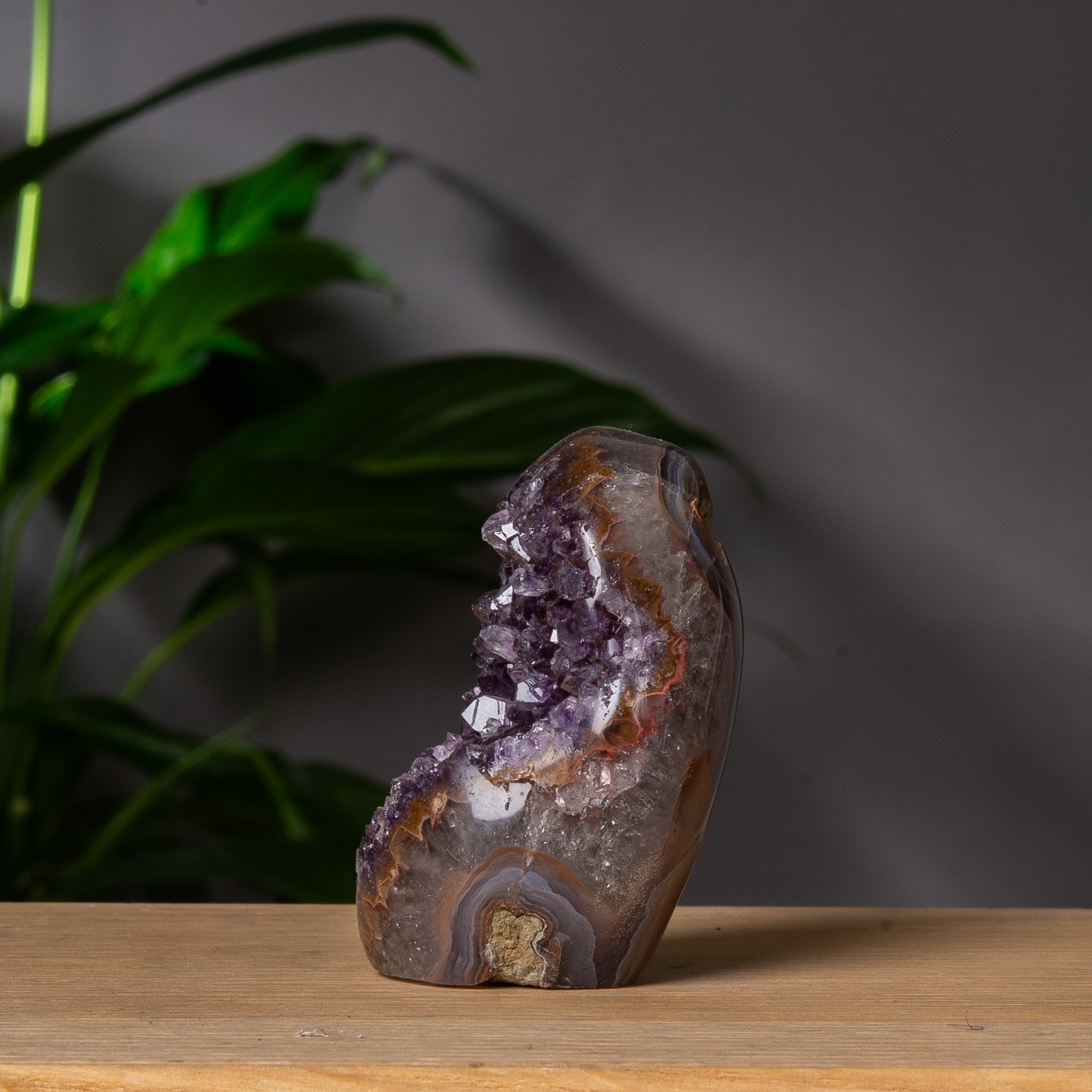 Purple Druzy Amethyst Cutbase