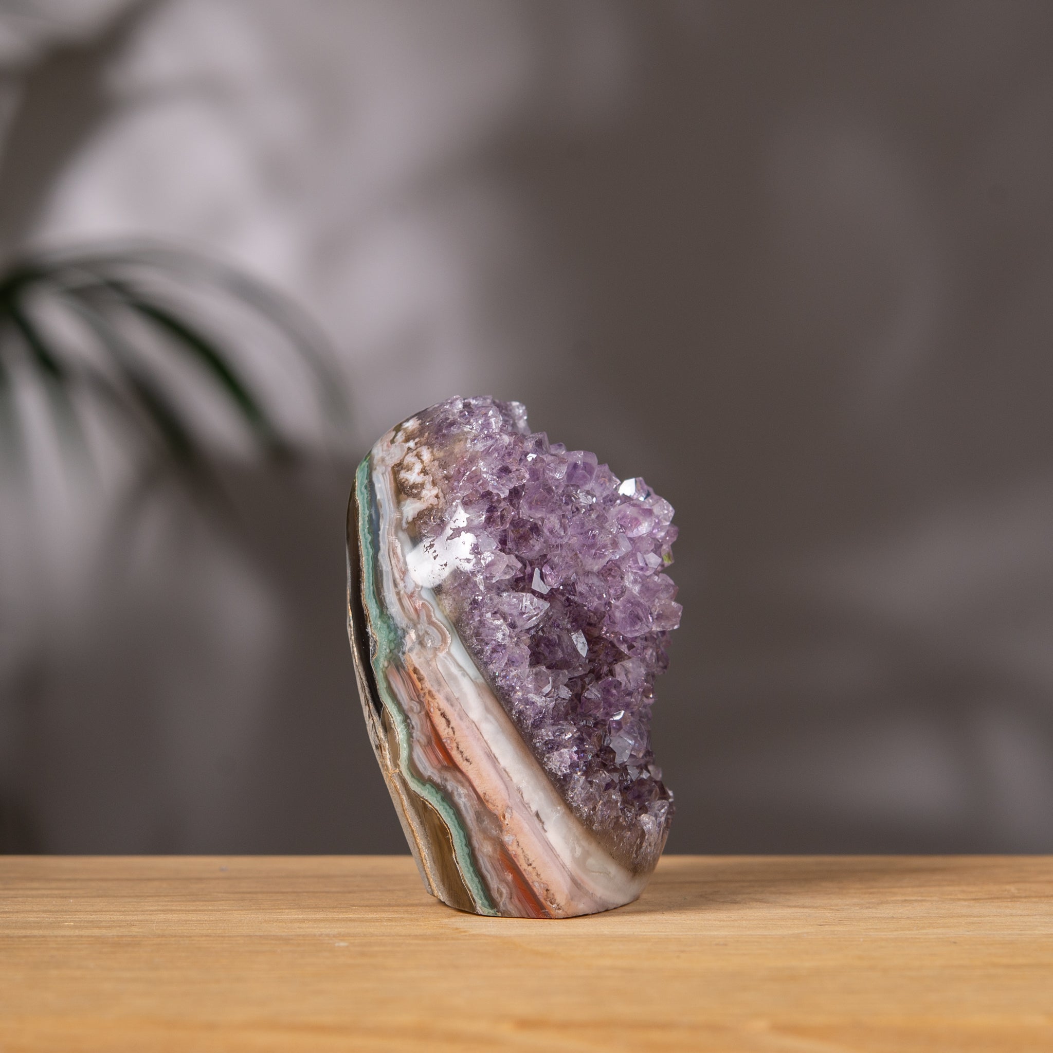 Amethyst Cluster – Lavender Druzy & Multicolor Agate Back – Uruguay