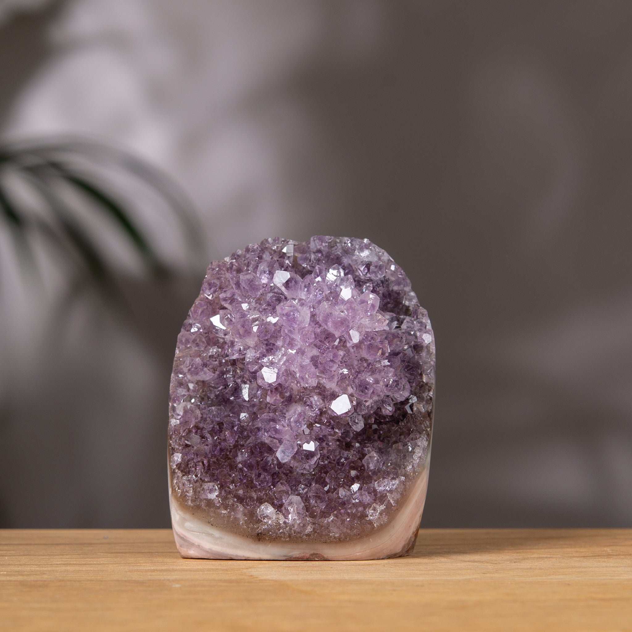 Amethyst Cluster – Lavender Druzy & Multicolor Agate Back – Uruguay