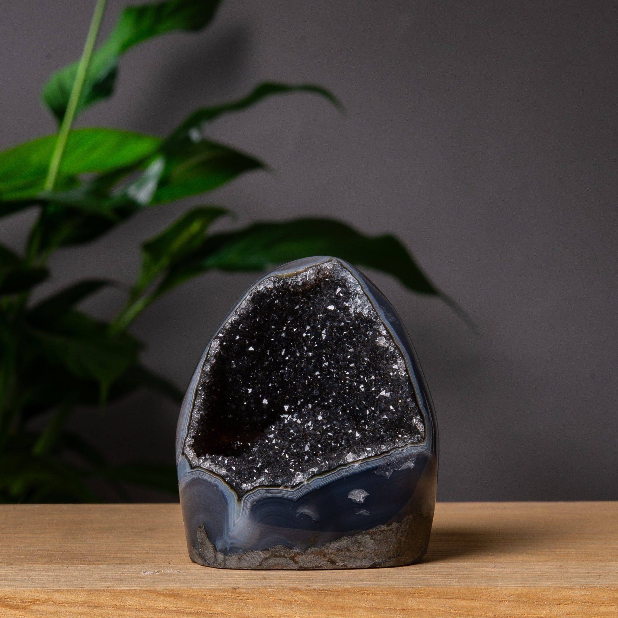 Black Amethyst Cutbase with Druzy Cavity