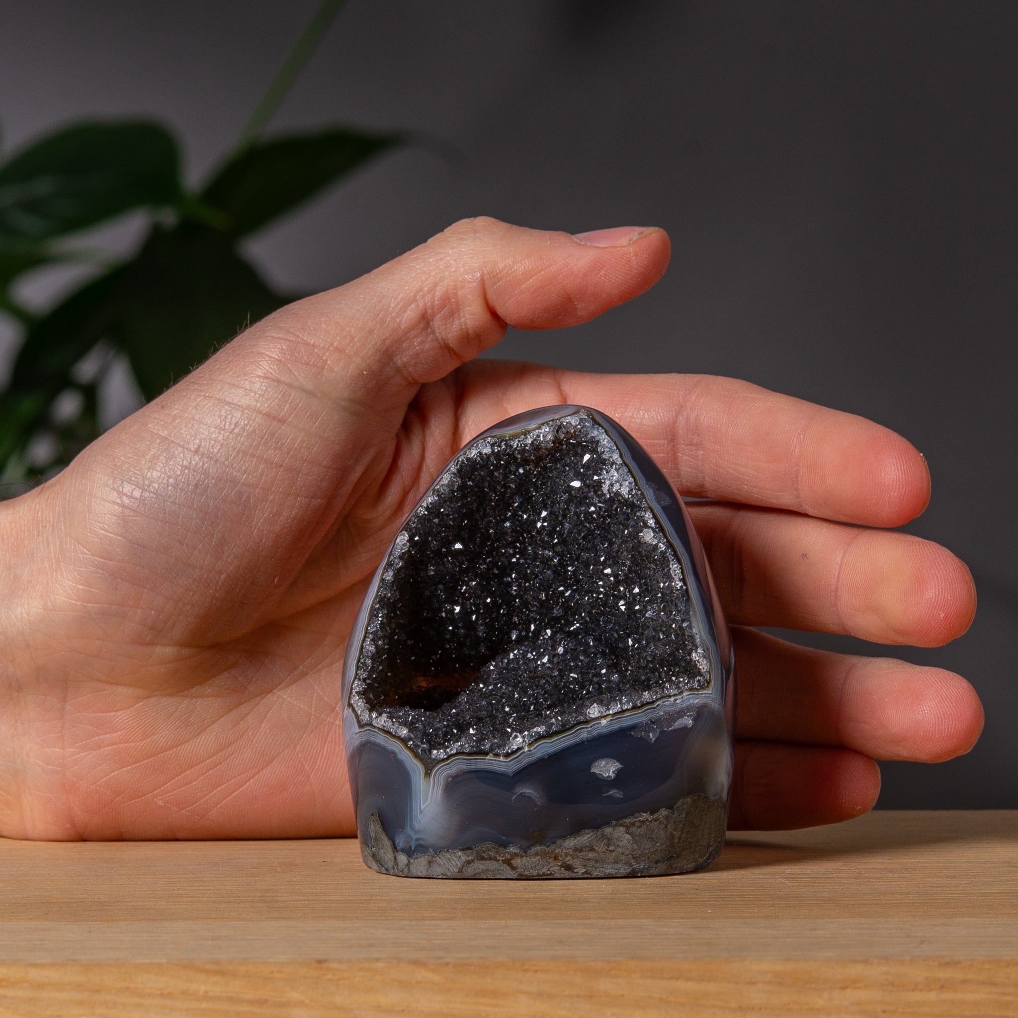Black Amethyst Cutbase with Druzy Cavity