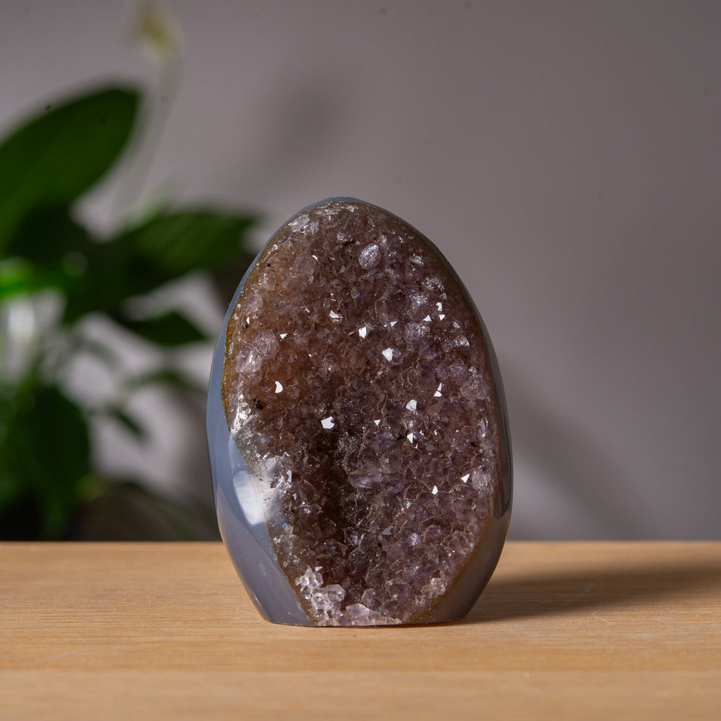 Dark brown Agate cut base