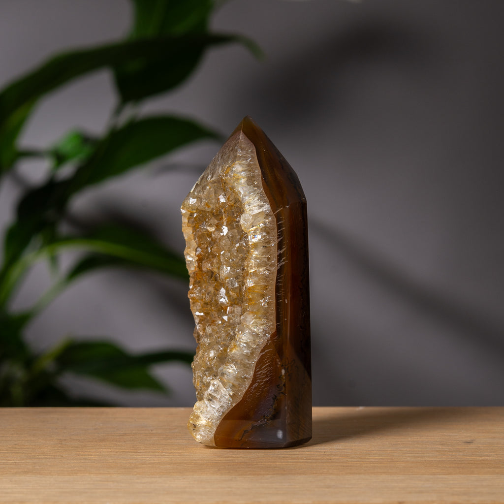 Gyllene druzy och brun agat torn