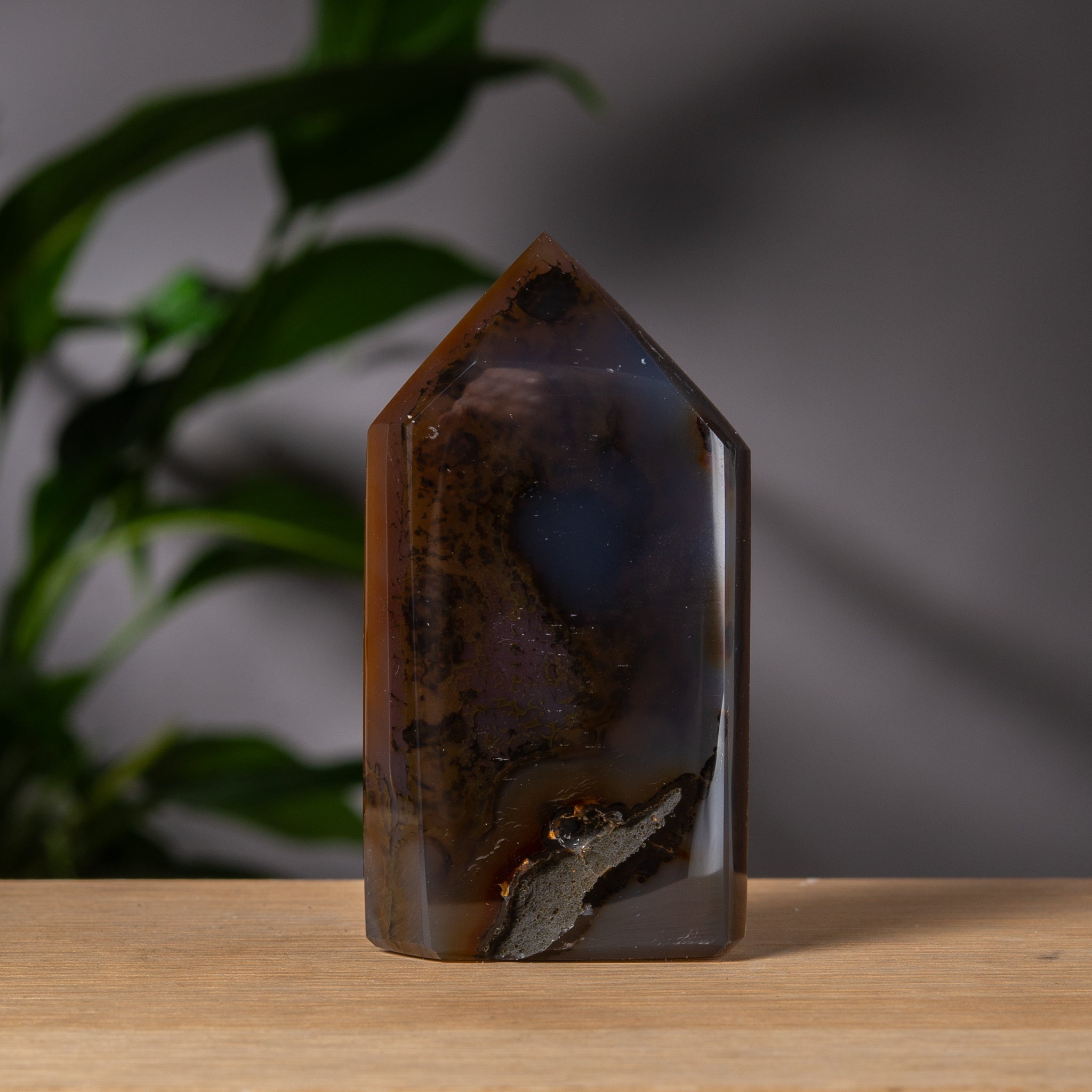 Gyllene druzy och brun agat torn