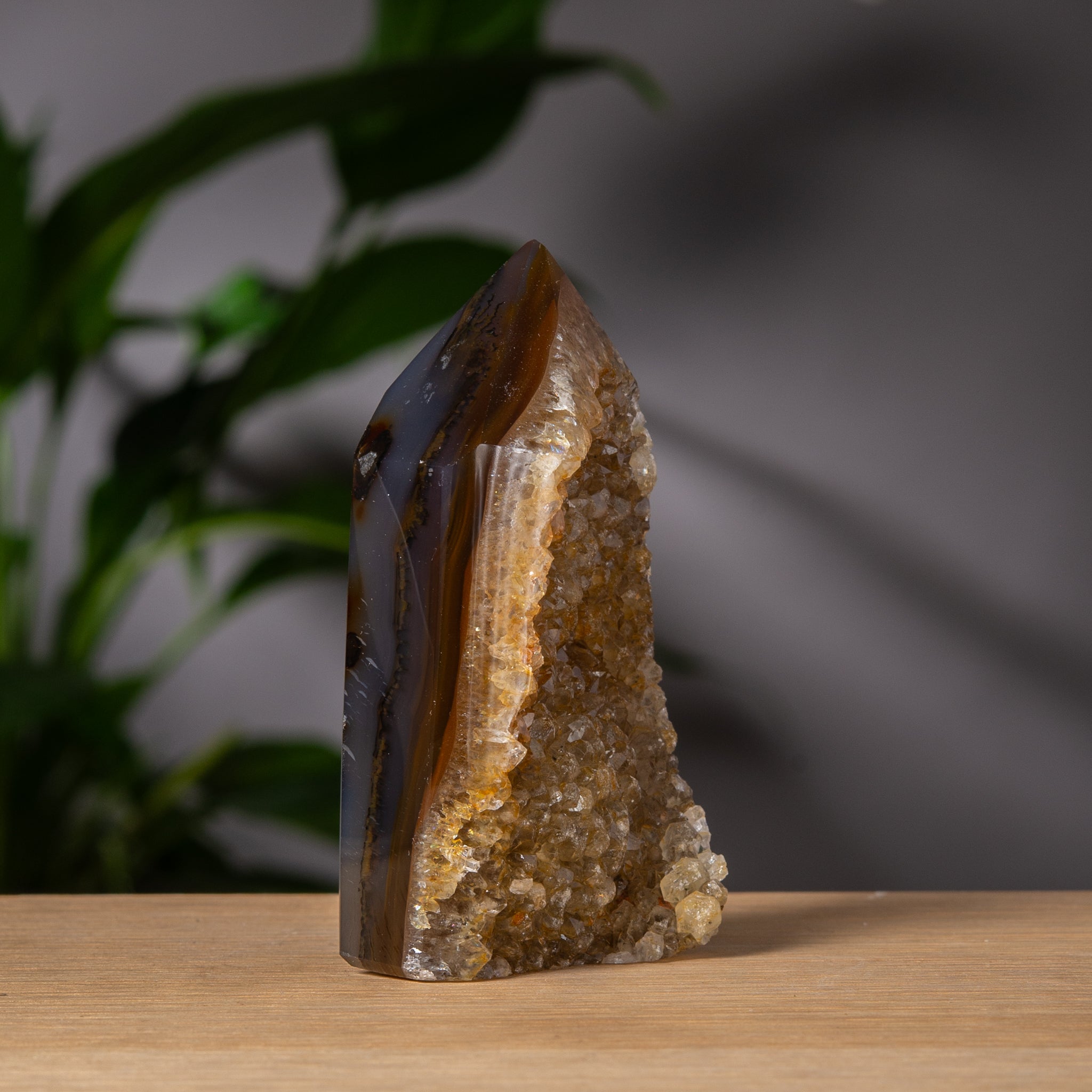 Gyllene druzy och brun agat torn