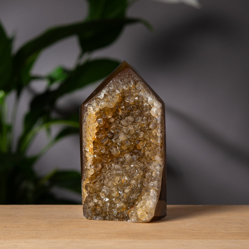 Gyllene druzy och brun agat torn