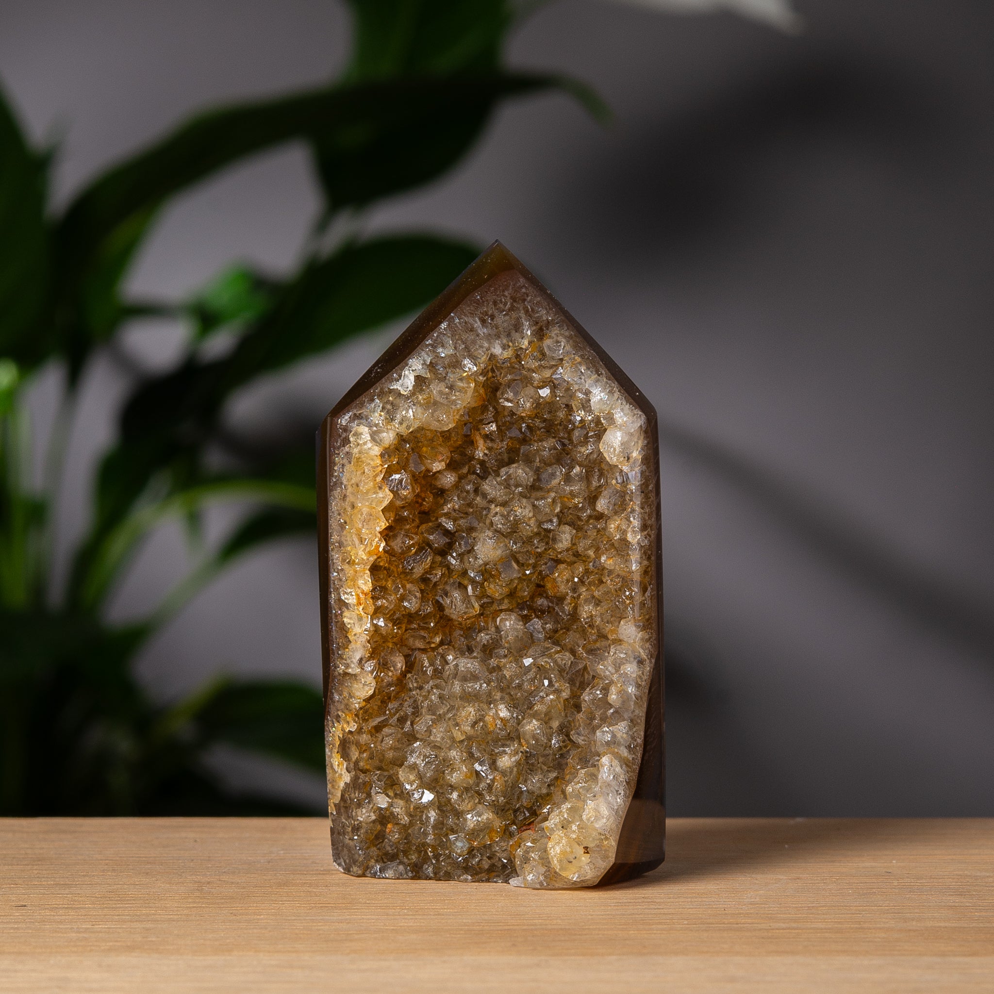 Gyllene druzy och brun agat torn