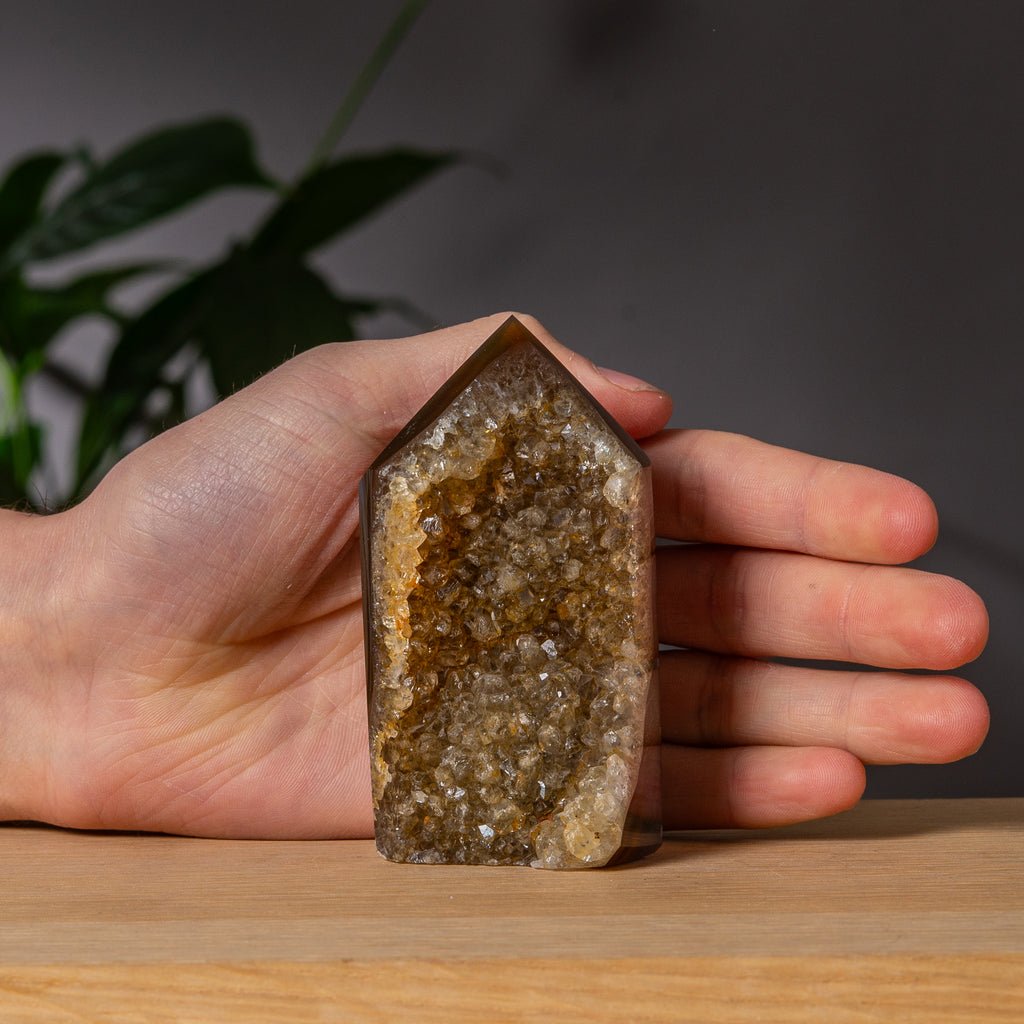 Gyllene druzy och brun agat torn