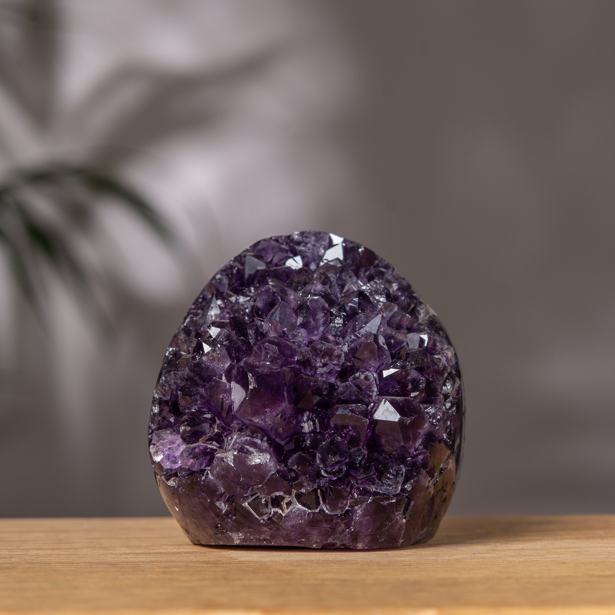 Amethyst Cluster – Deep Purple Crystal & Polished Agate Back – Uruguay