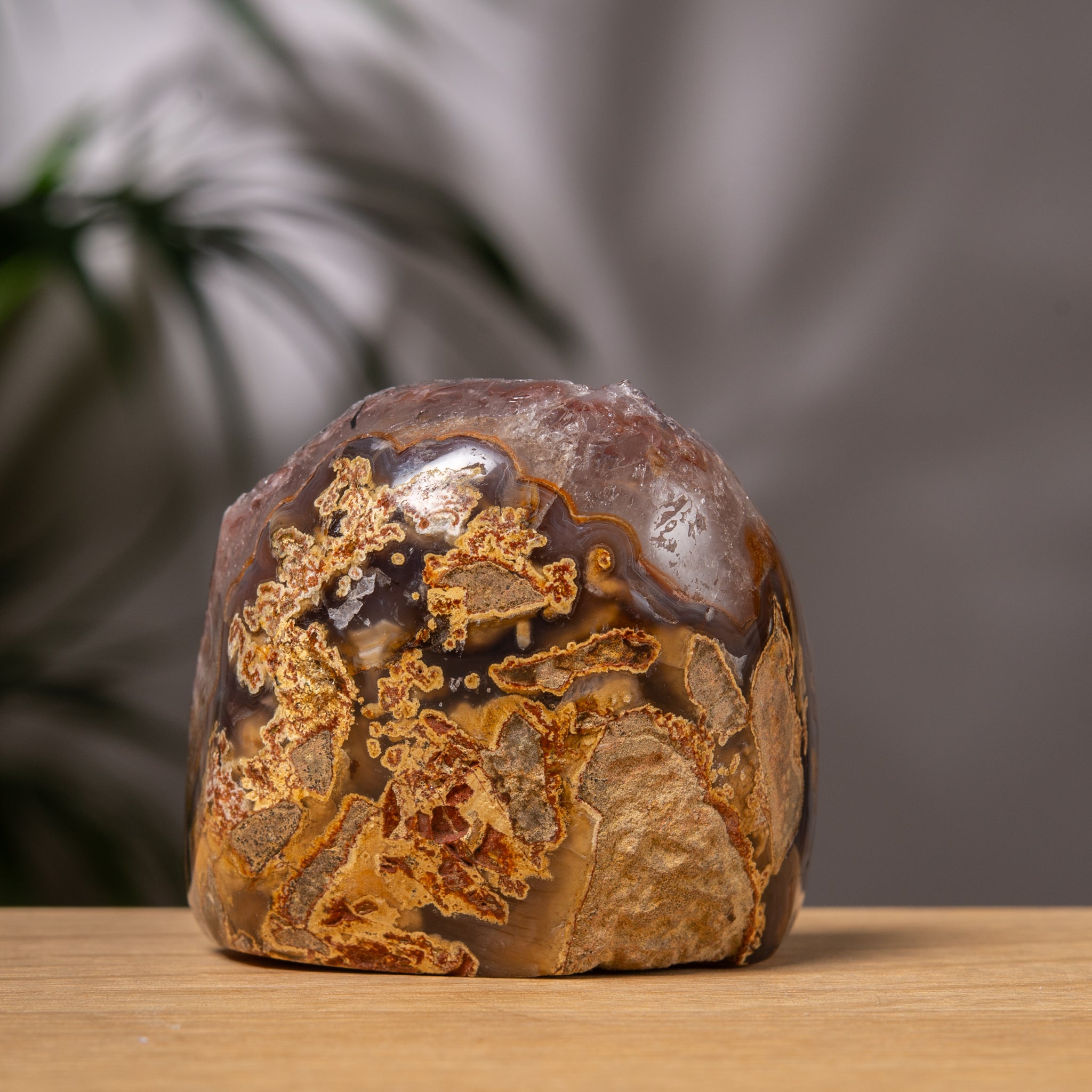 rainow Amethyst Cutbase with Golden-Brown Matrix