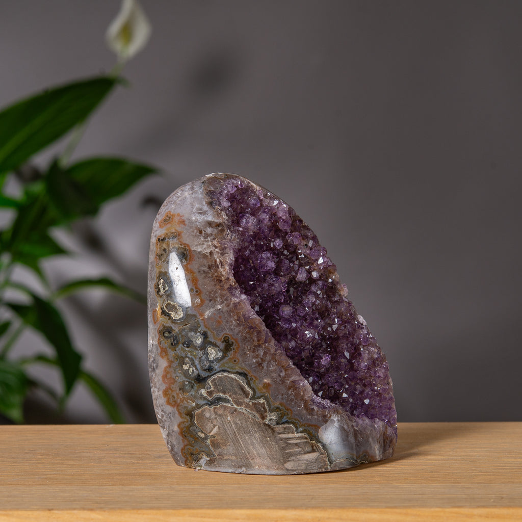Ametist Freeform med lila Druzy-hålighet