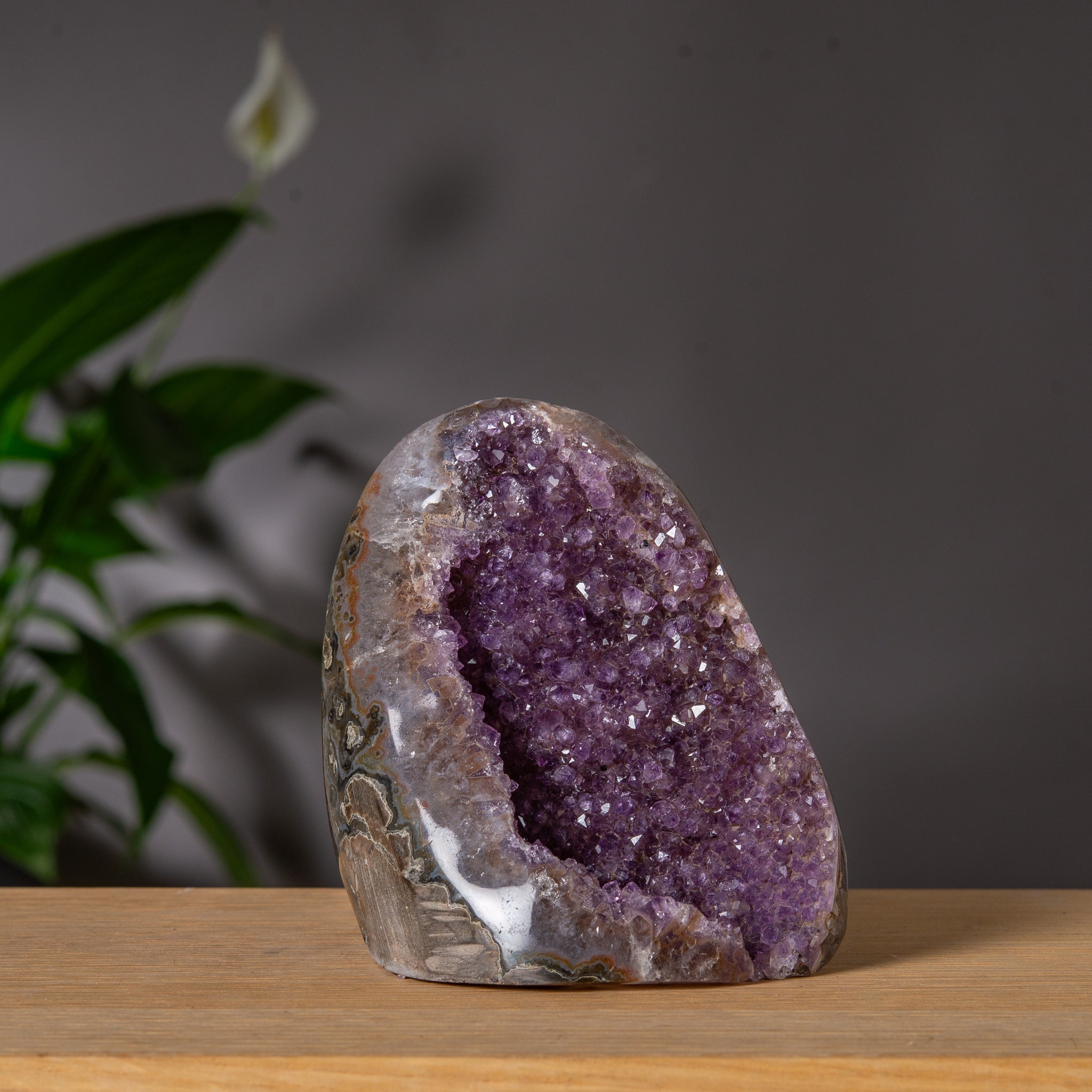 Ametist Freeform med lila Druzy-hålighet