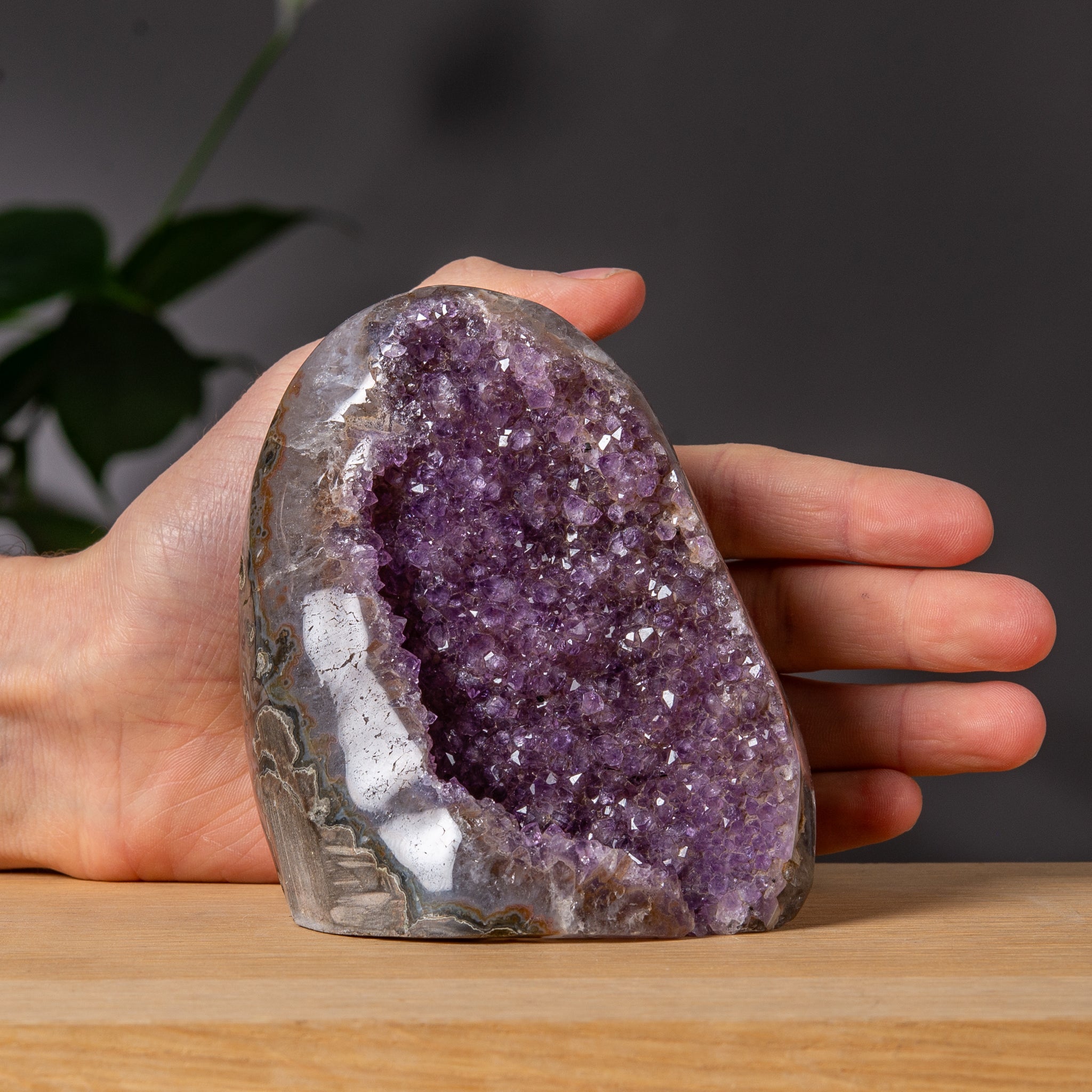 Ametist Freeform med lila Druzy-hålighet