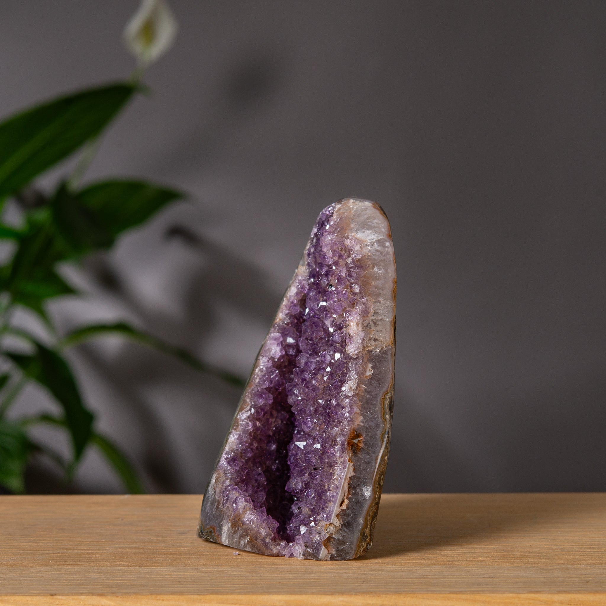 Ametist Freeform med lila Druzy-hålighet