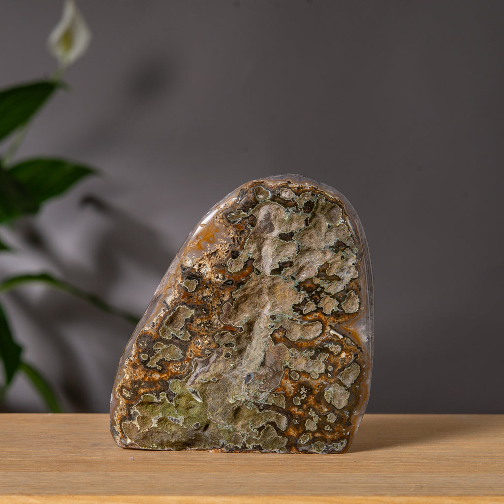 Ametist Freeform med lila Druzy-hålighet