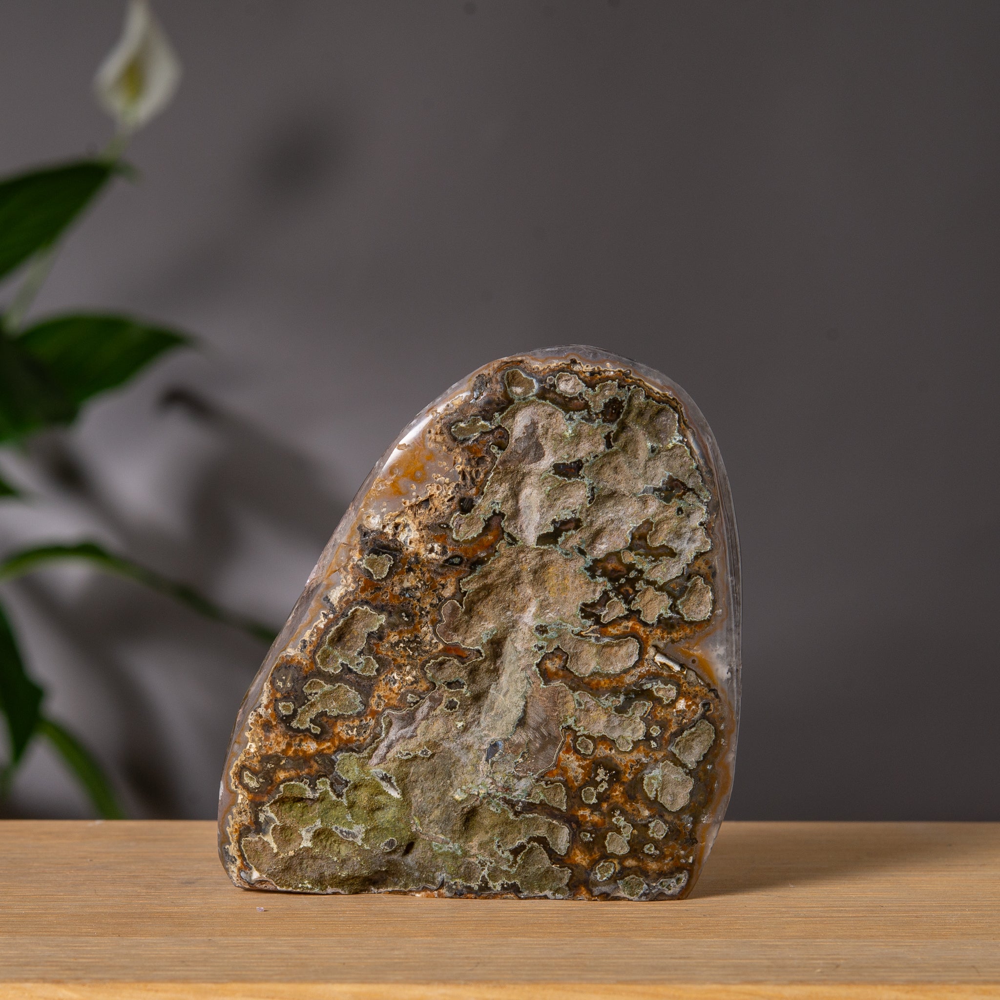 Ametist Freeform med lila Druzy-hålighet