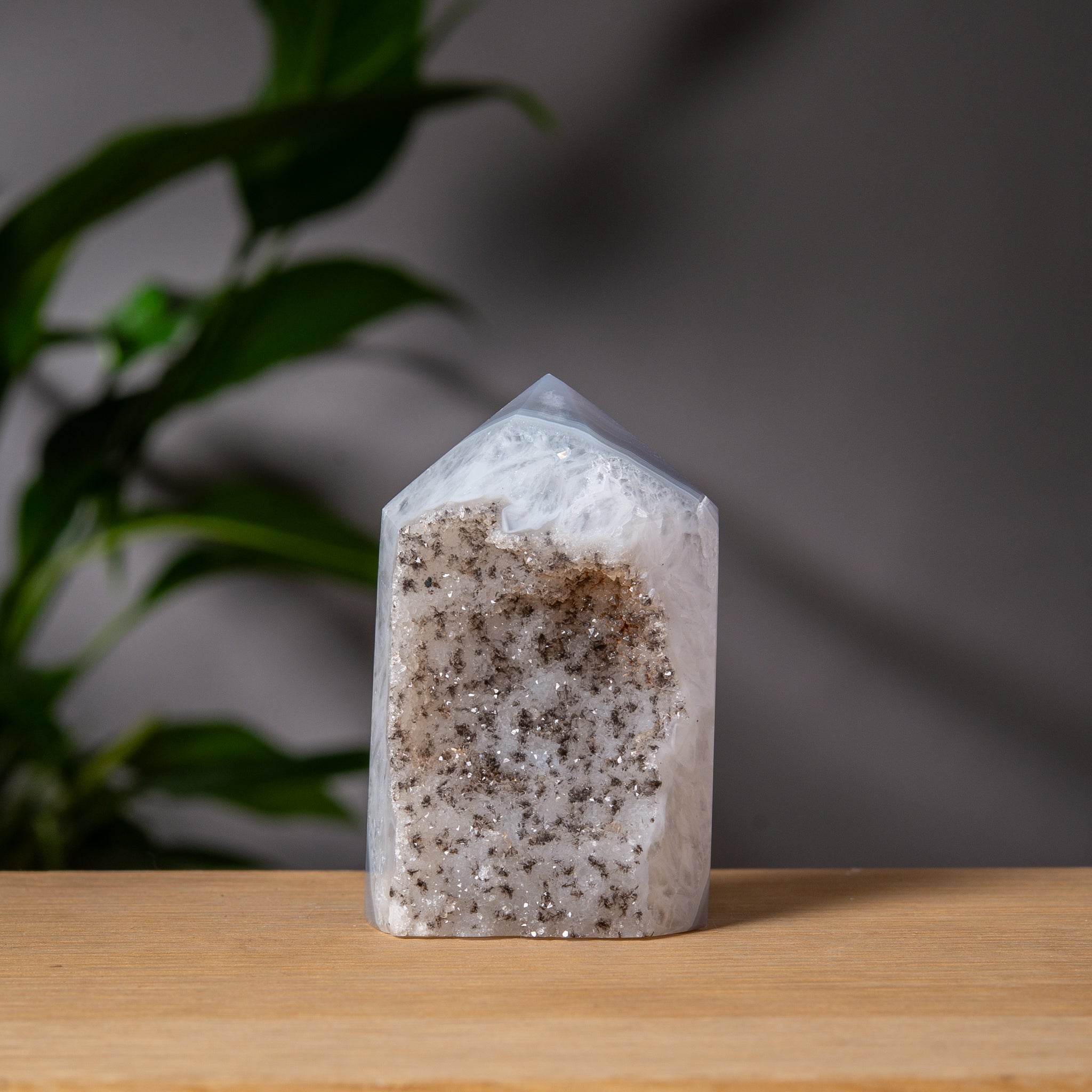 Mörkfläckig Druzy Agat Torn