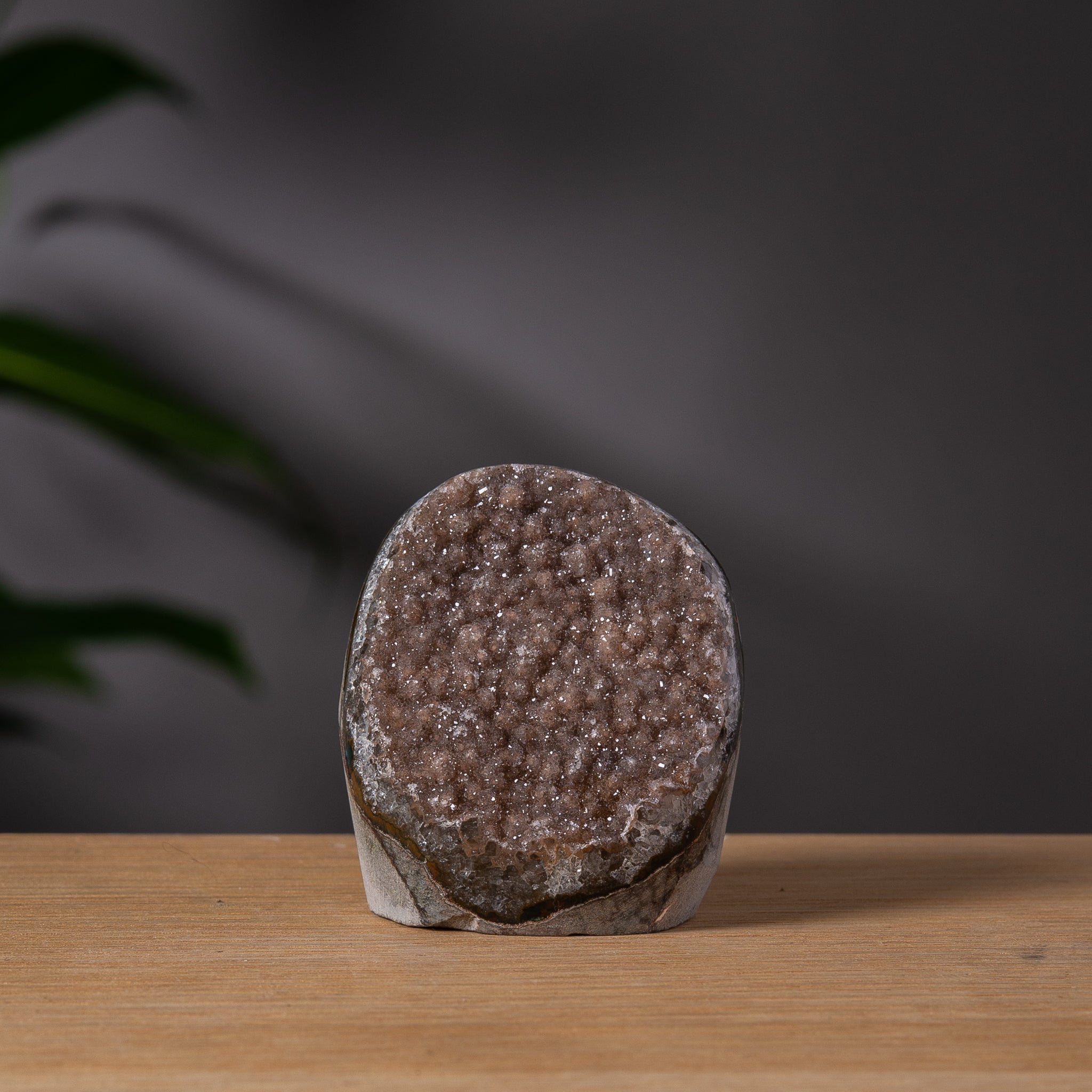 Mjukt gråbrun socker Amethyst Cutbase