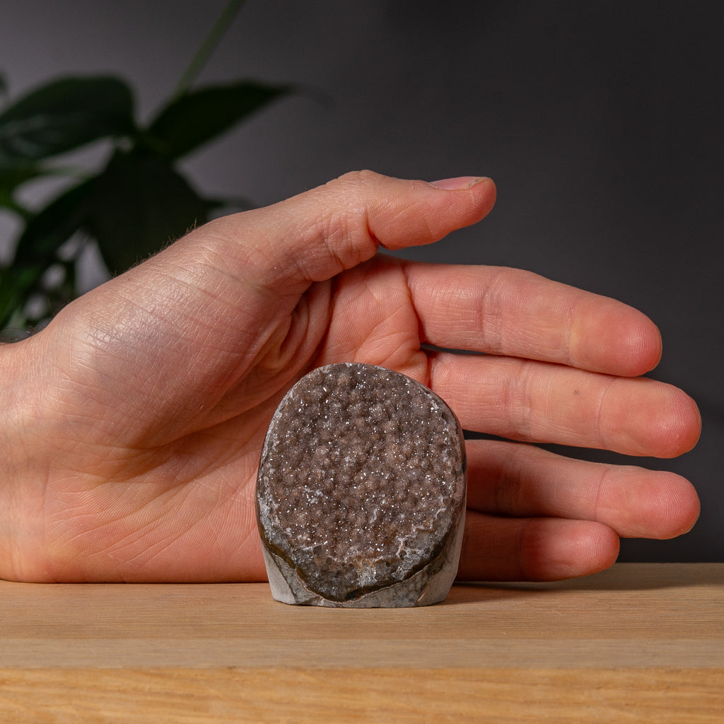 Mjukt gråbrun socker Amethyst Cutbase