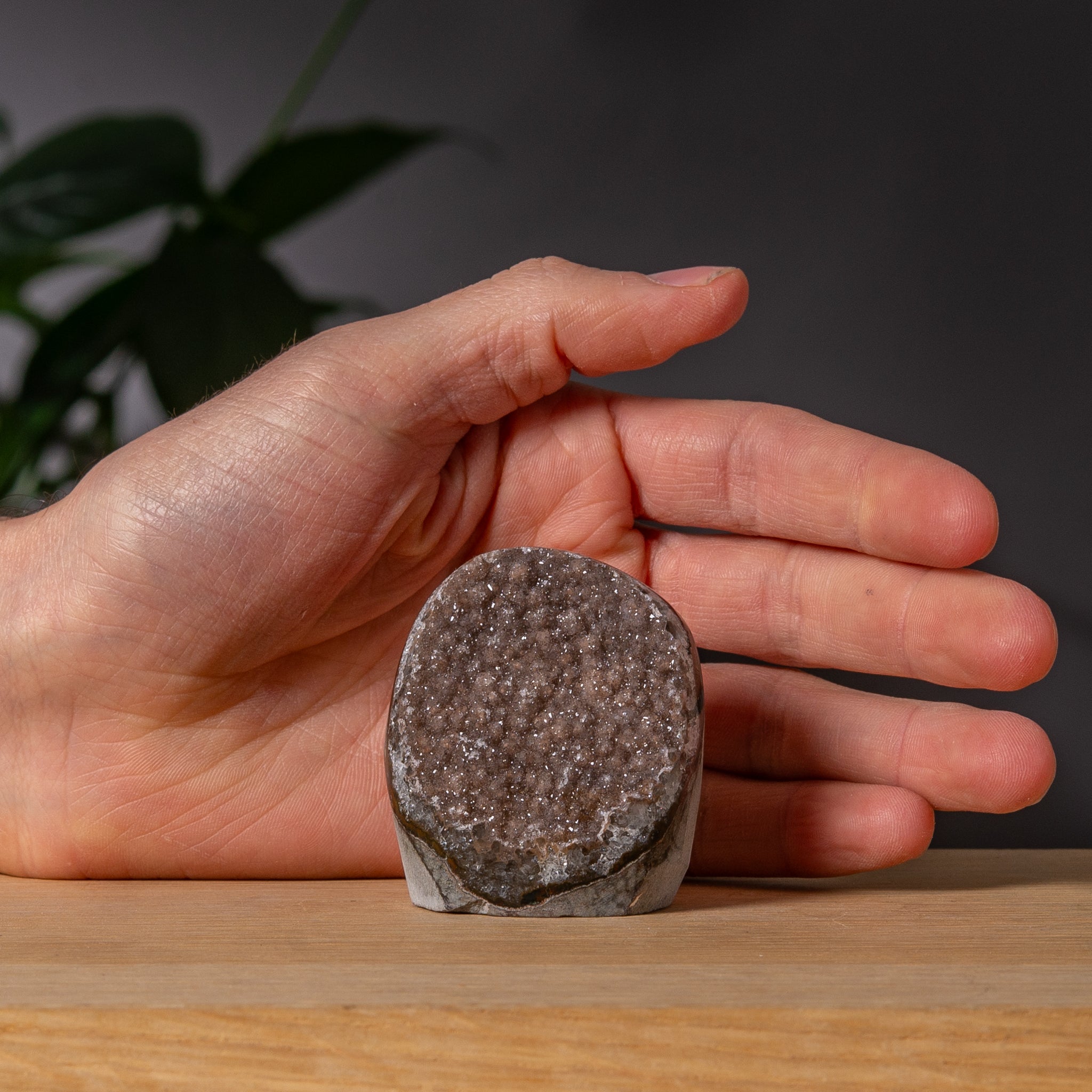 Mjukt gråbrun socker Amethyst Cutbase