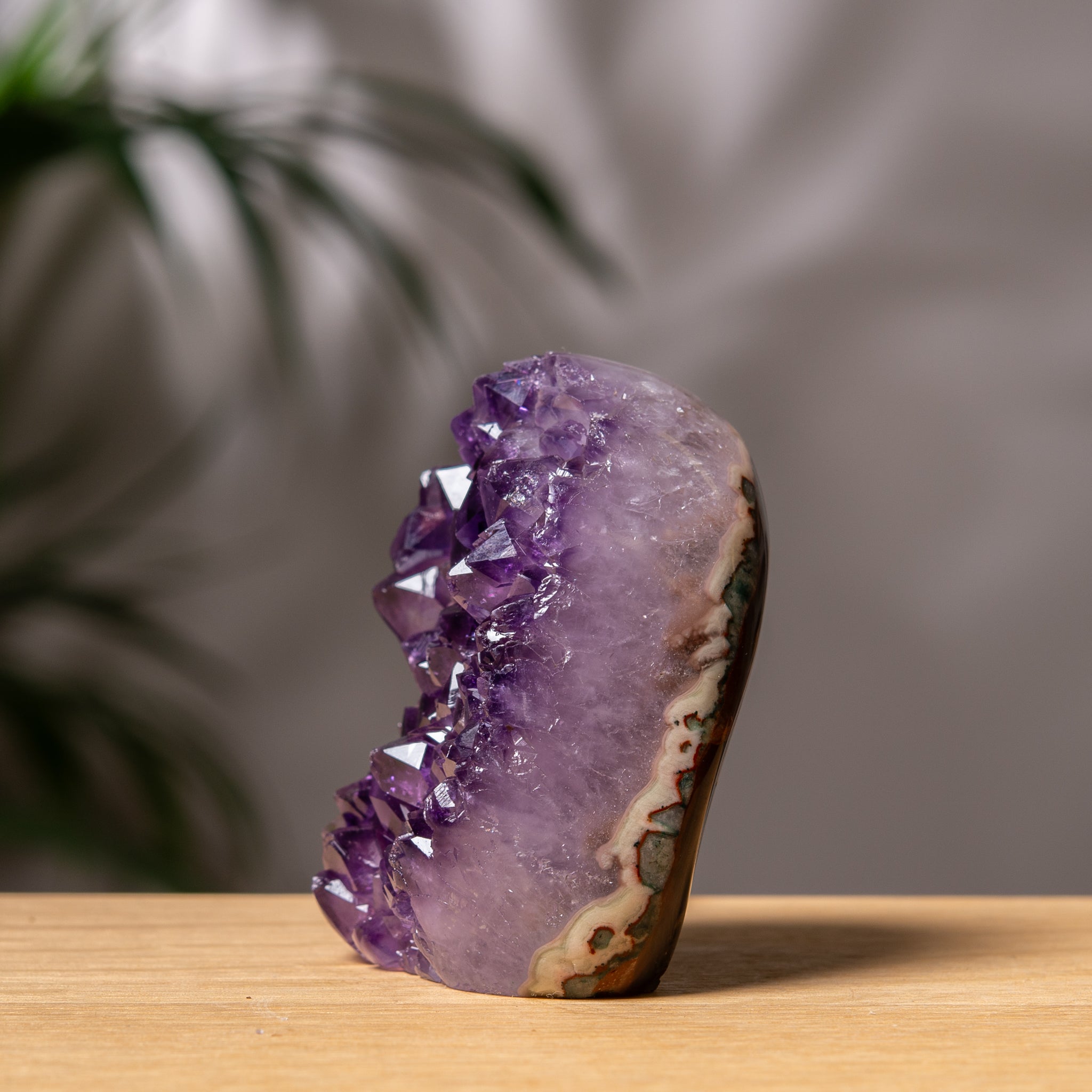 Amethyst Cutbase – Deep Purple Druzy