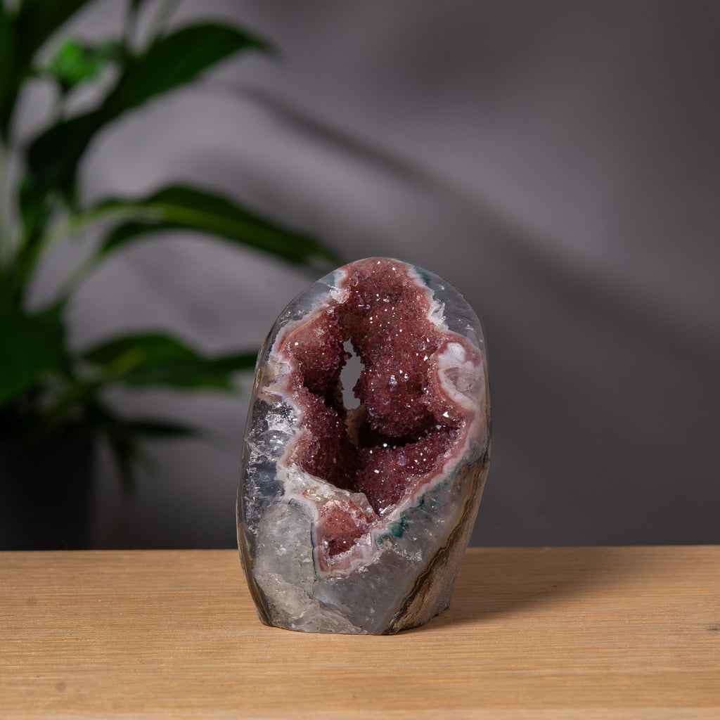 Vinröd regnbågsametist cutbase