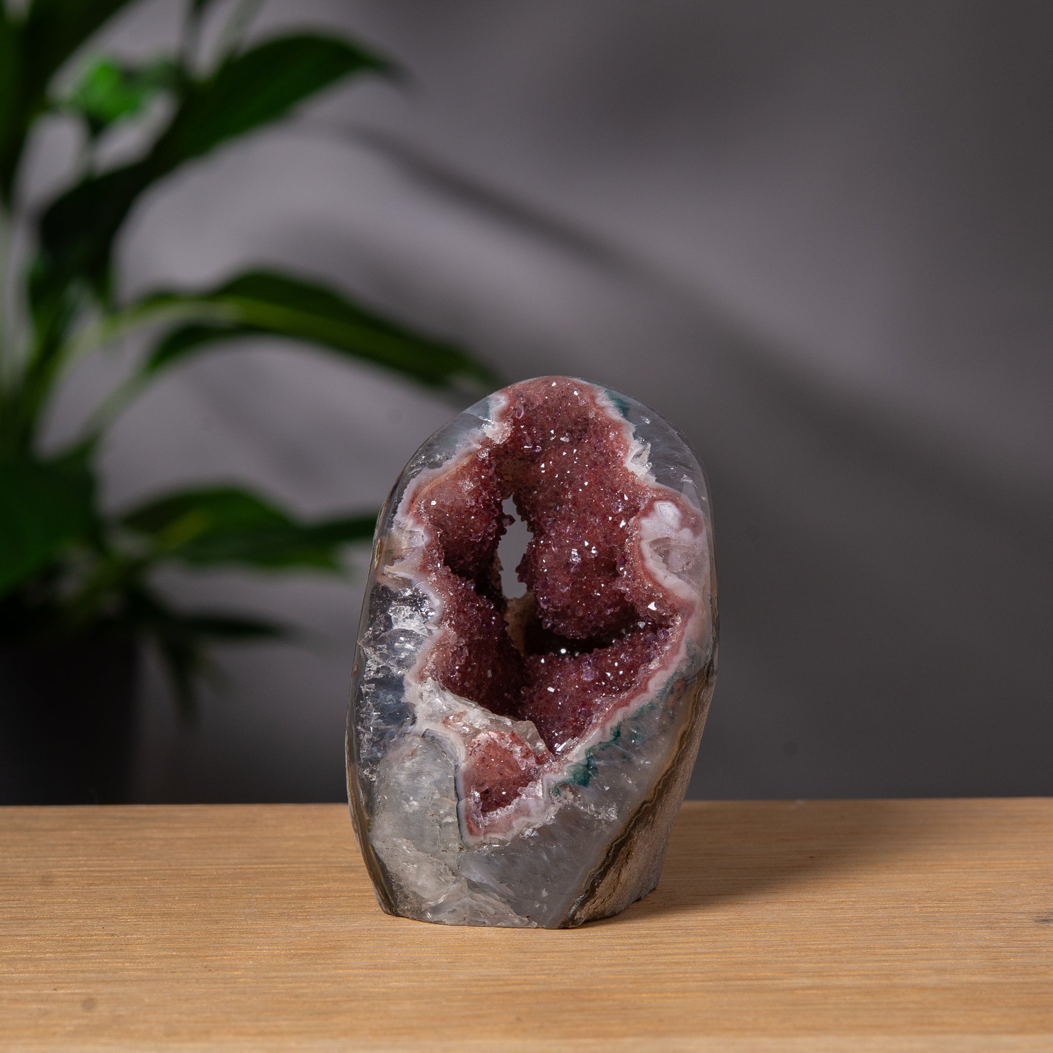 Vinröd regnbågsametist cutbase