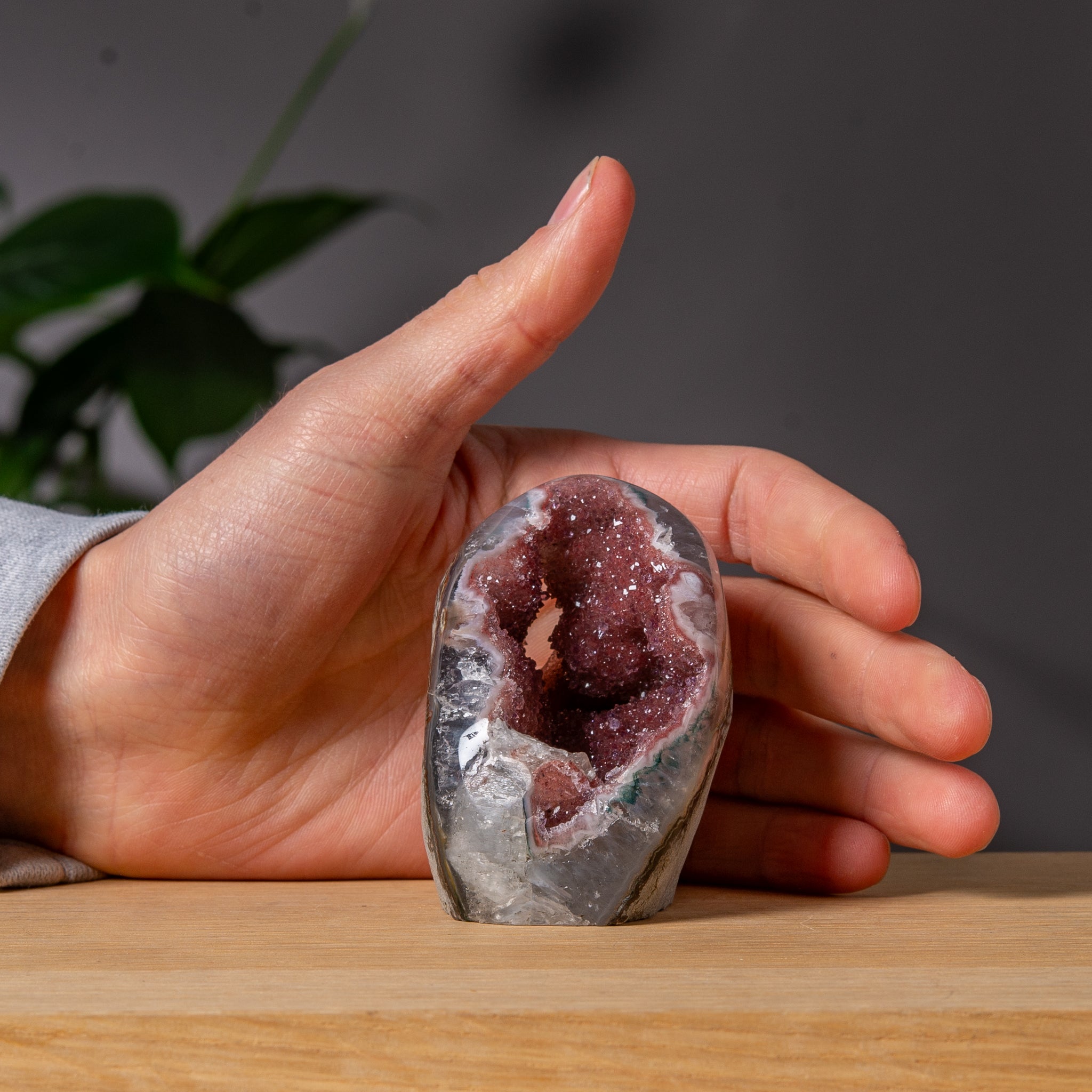 Vinröd regnbågsametist cutbase