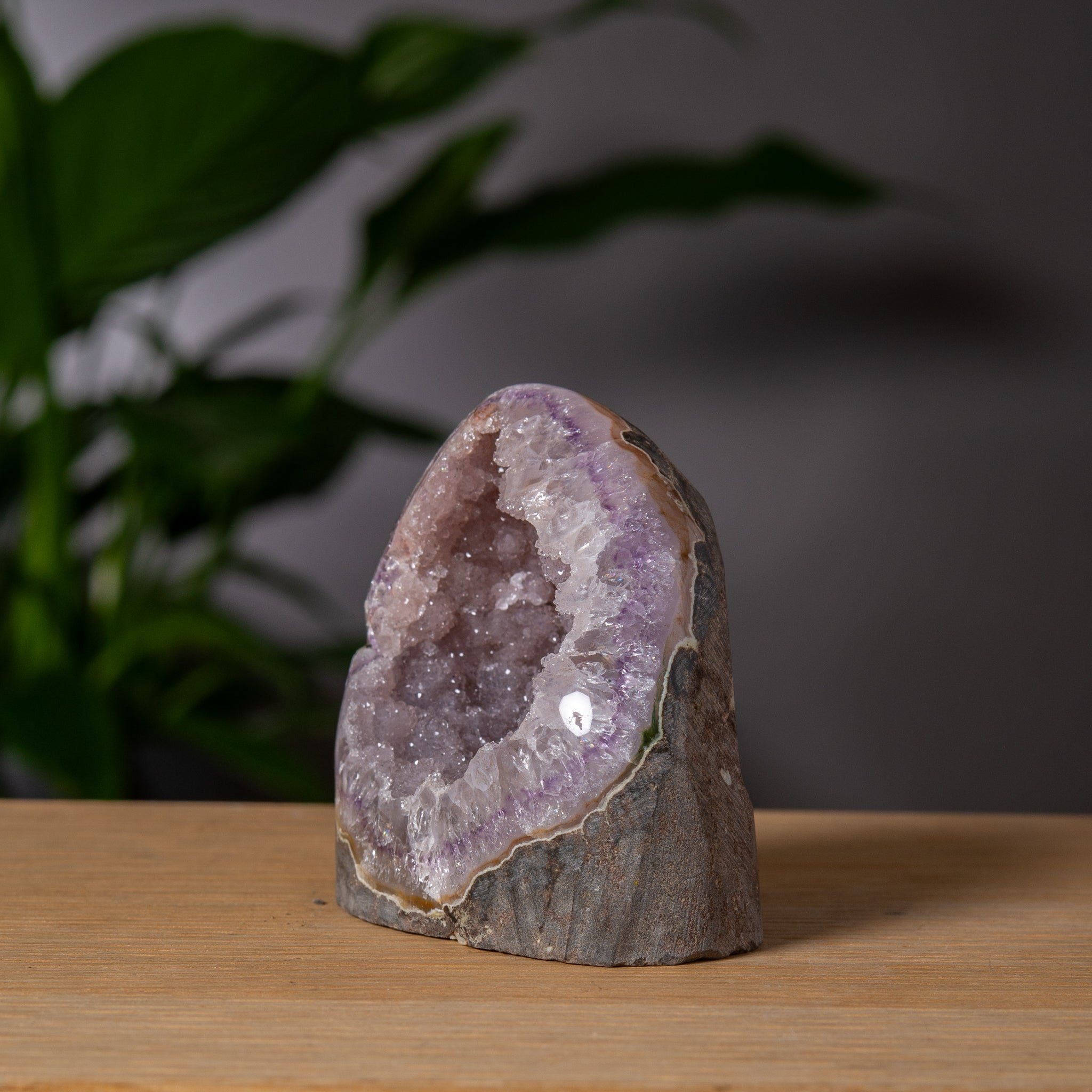Lavender sugar Amethyst cutbase